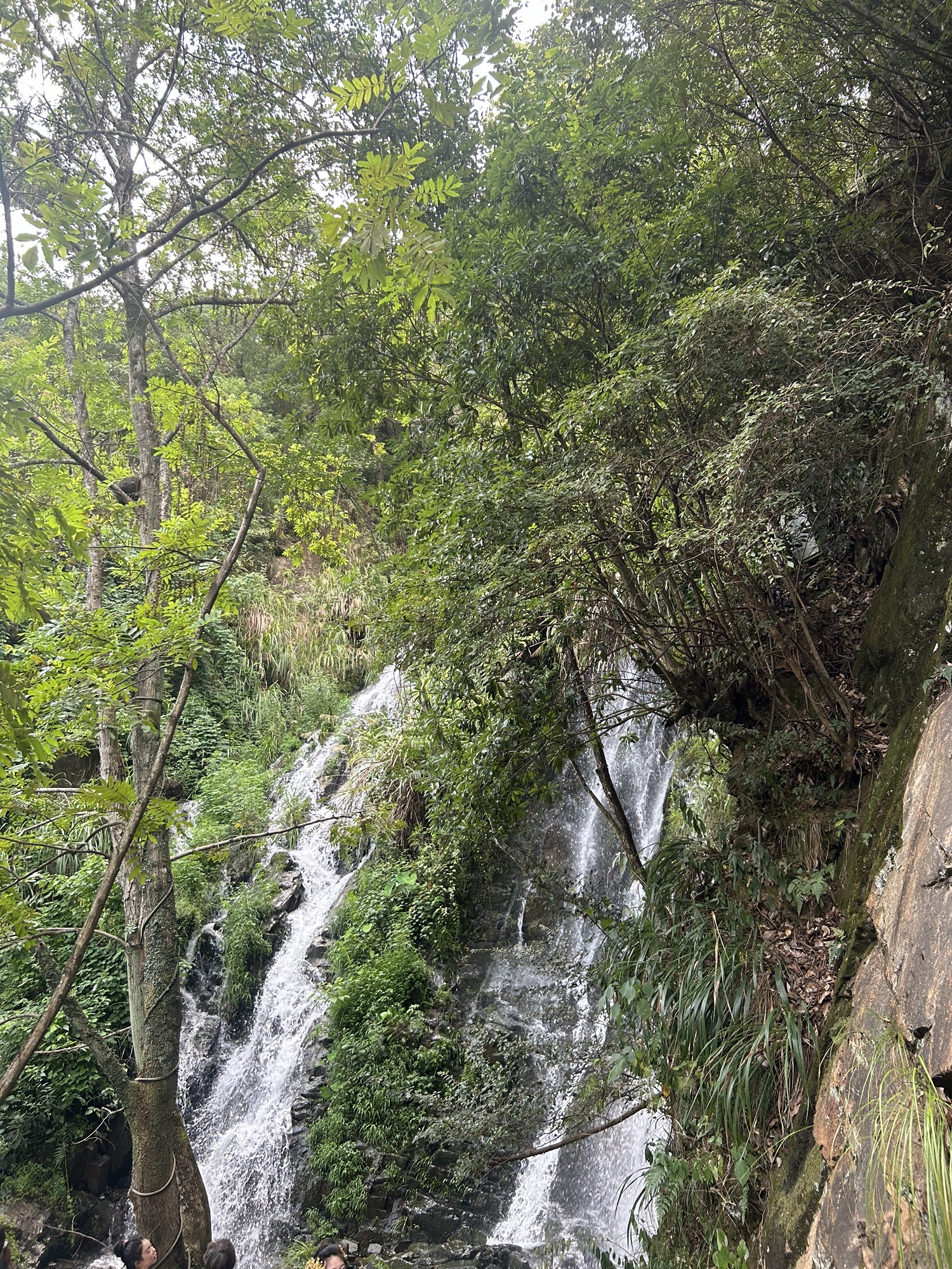 望仙谷景区旅行图片