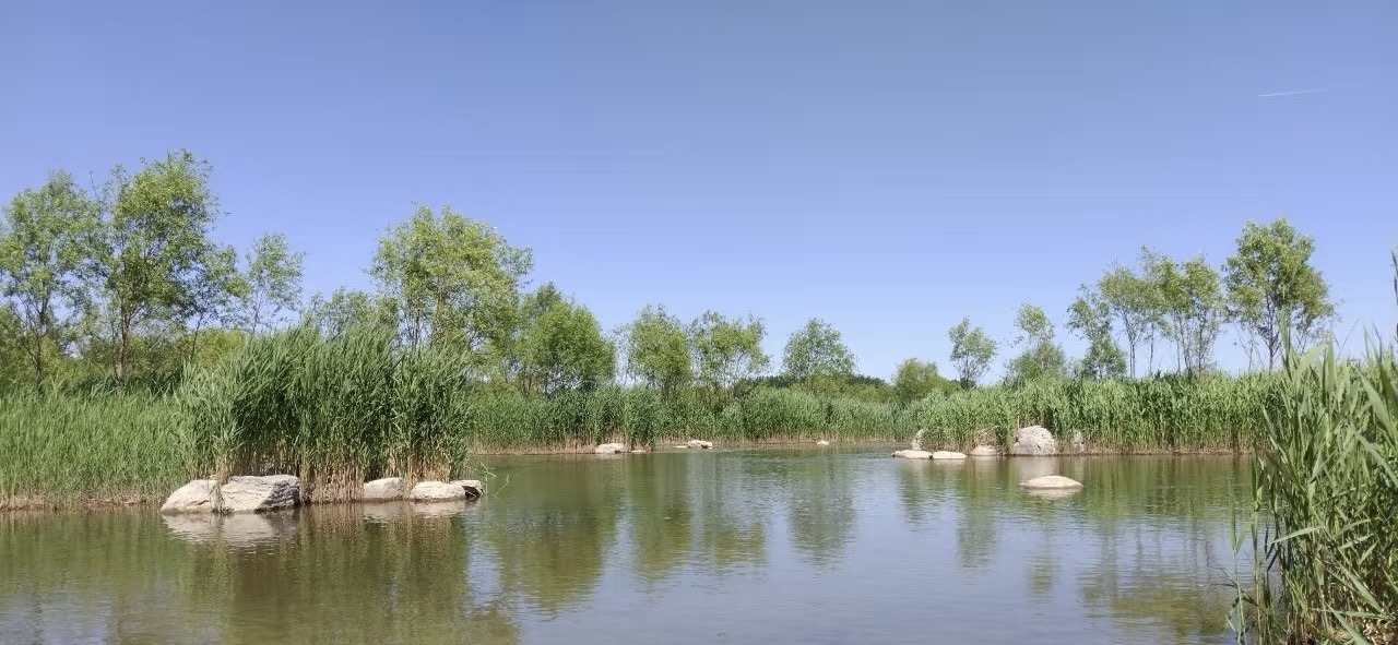 奥林匹克公园
