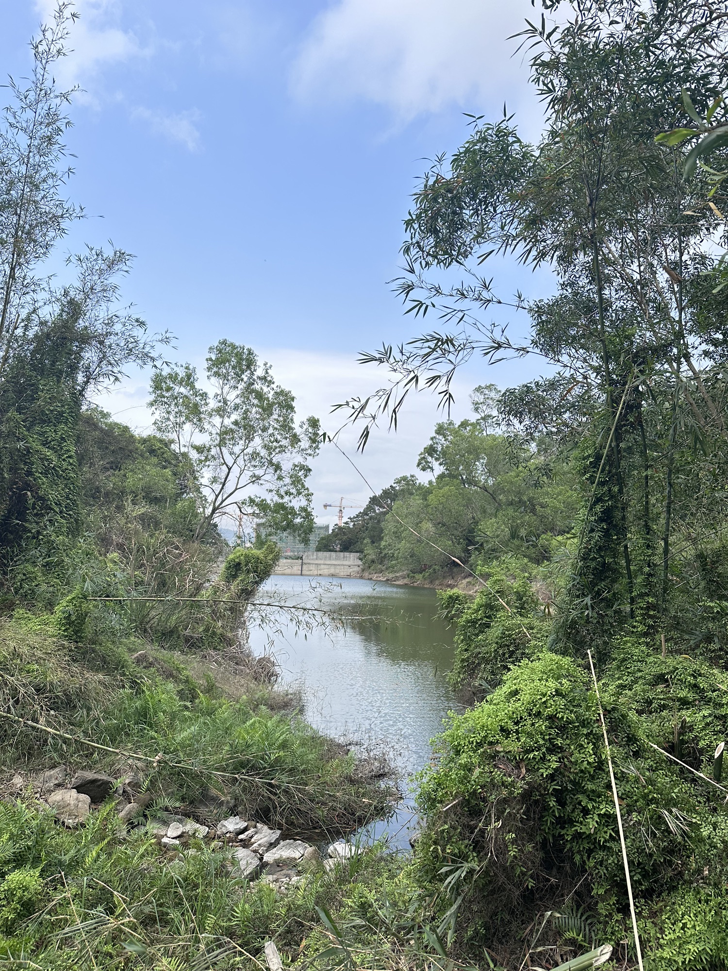 南水森林公园