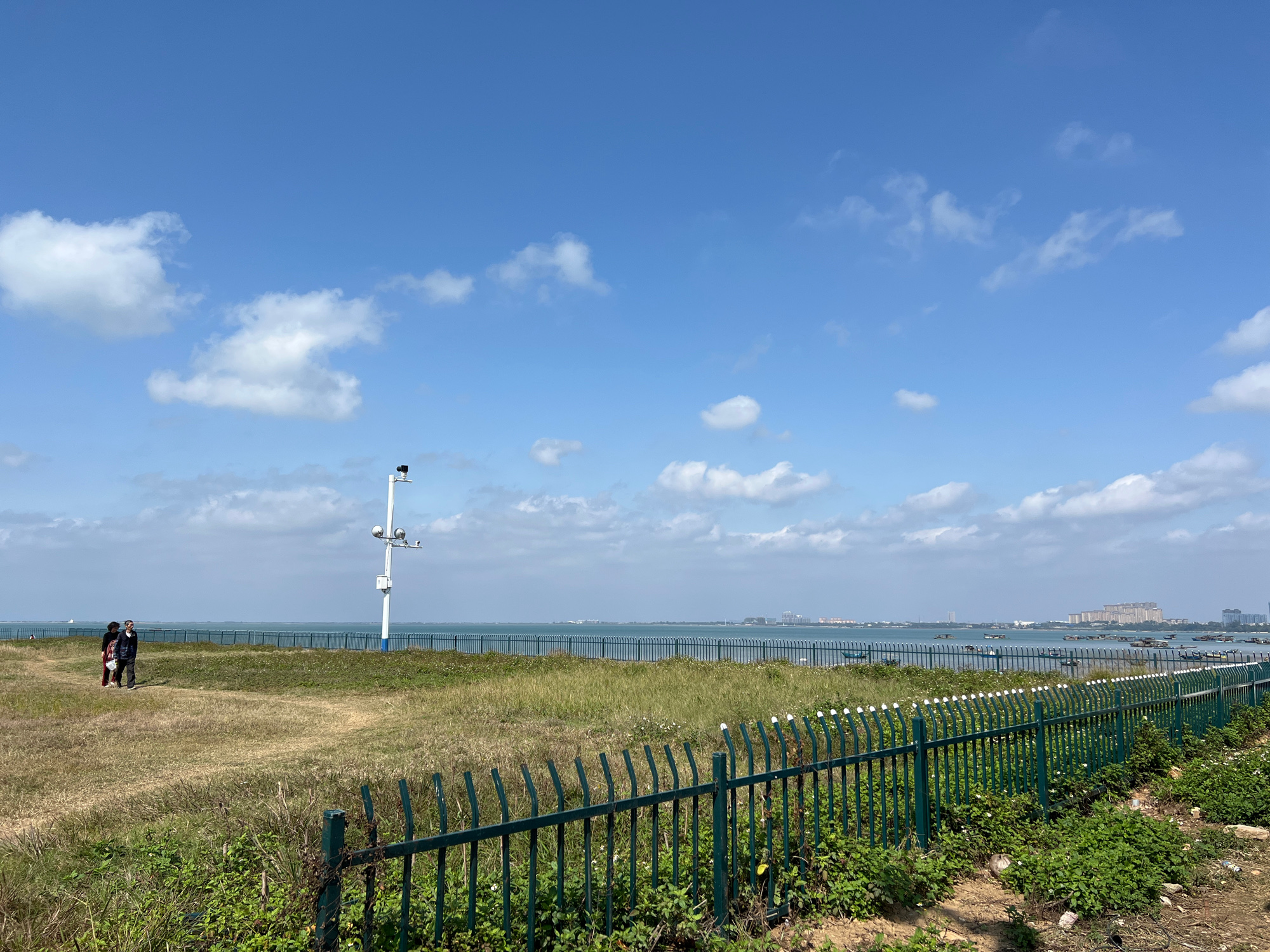 高德花海公园