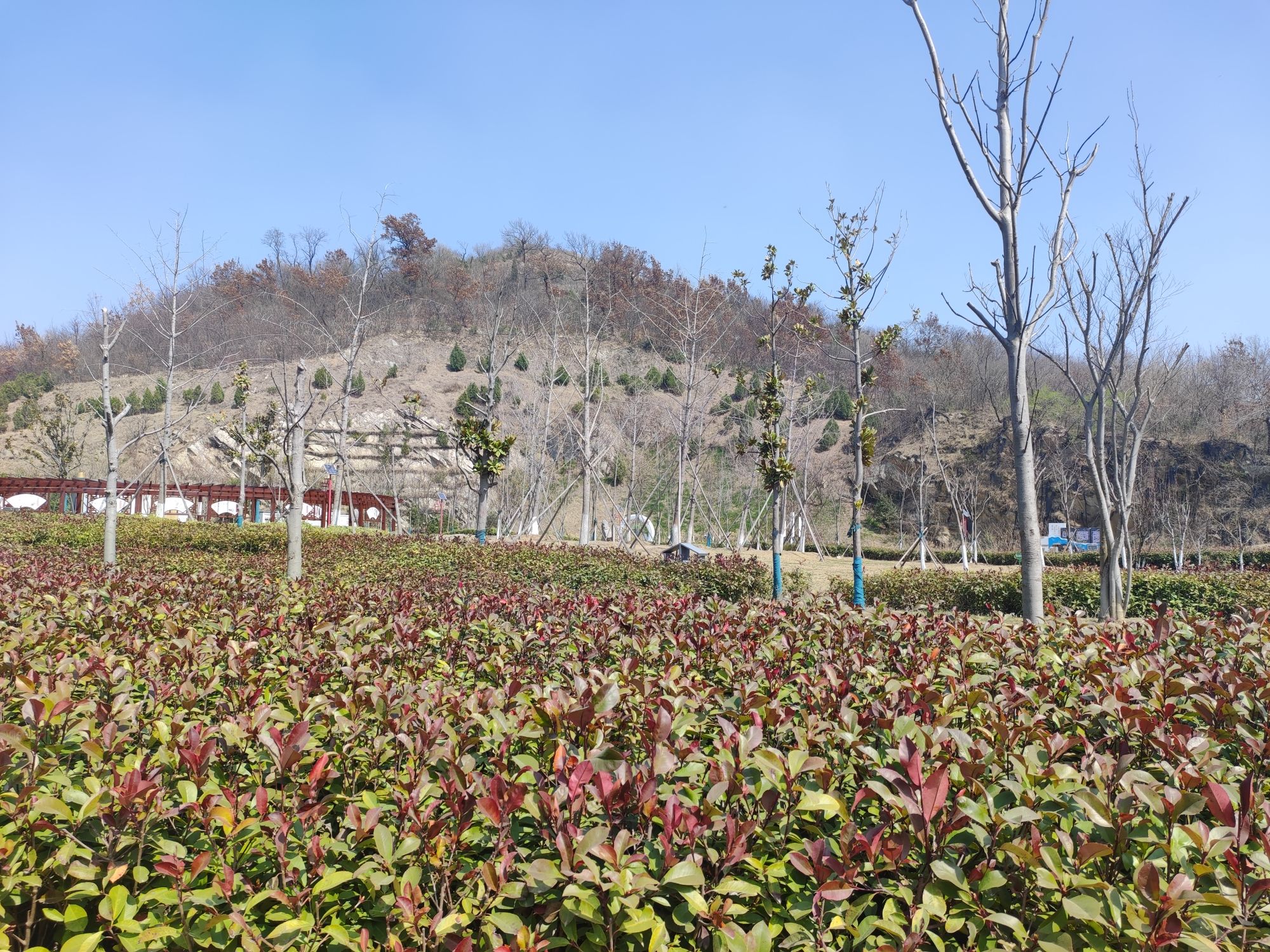 凤凰山公园