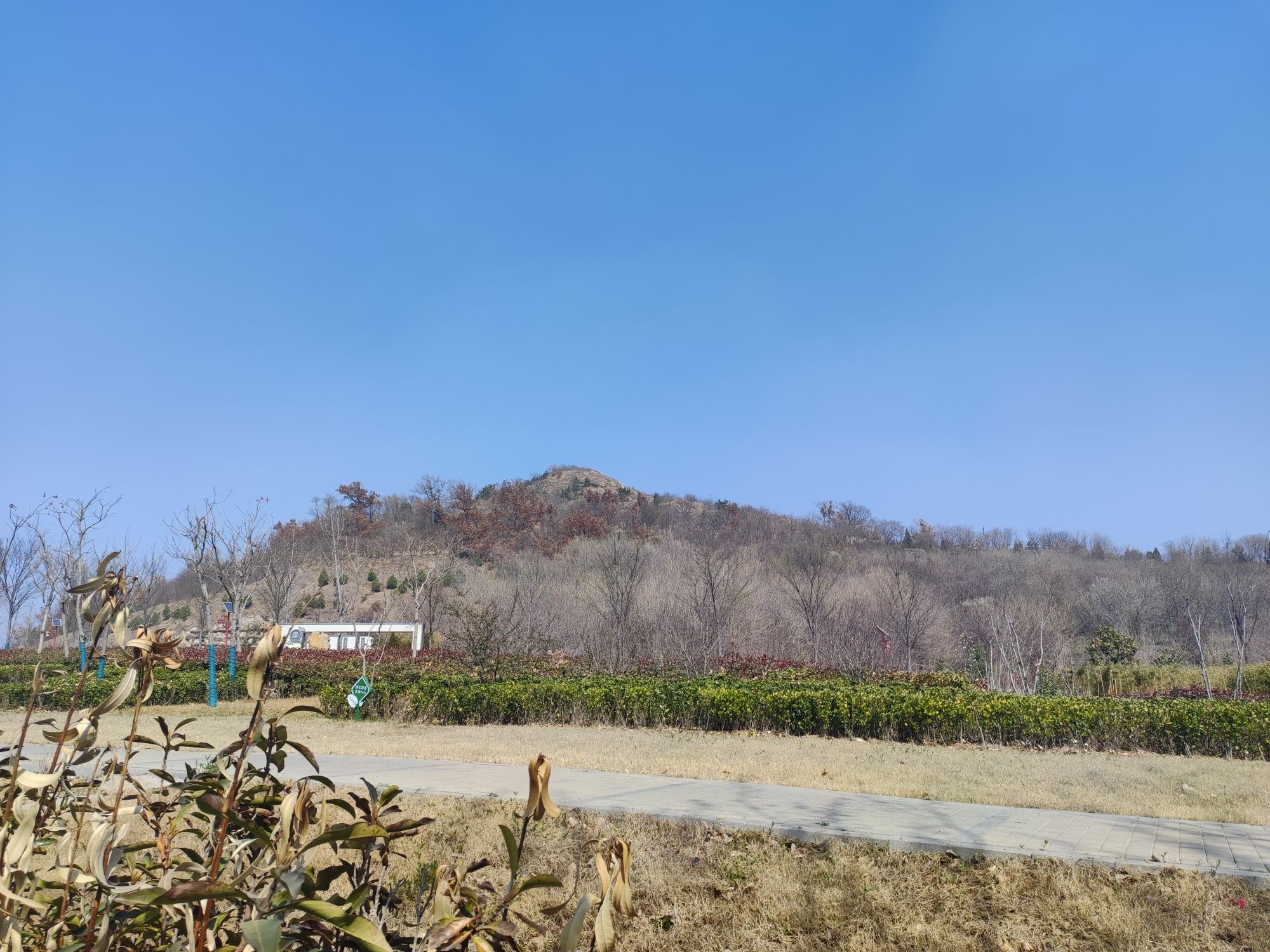 凤凰山公园旅行图片