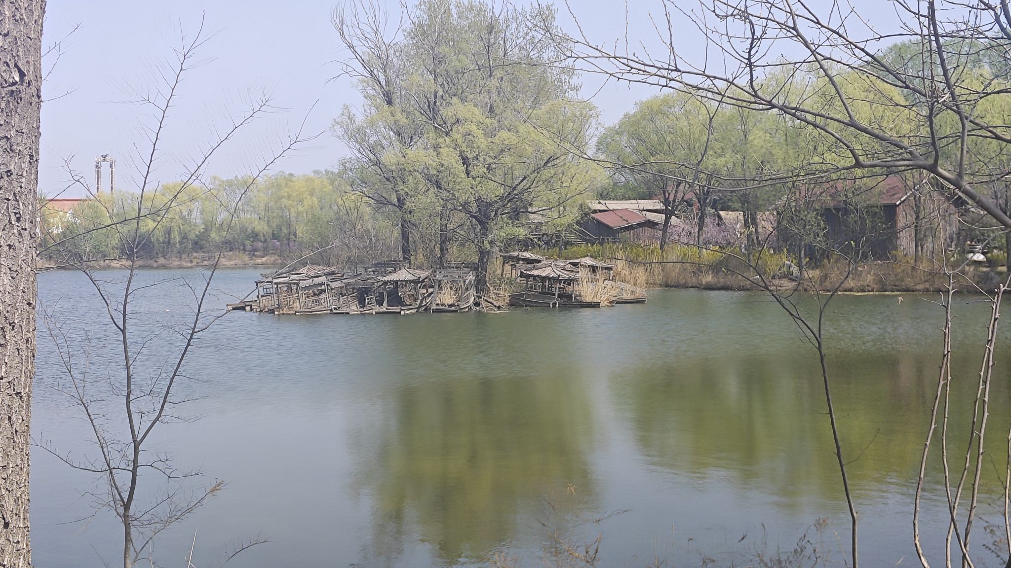 岱北文化广场旅行图片