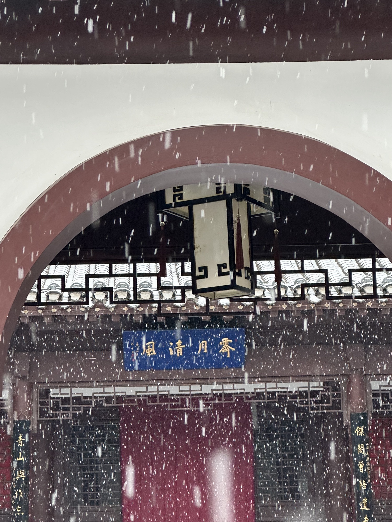 顾园