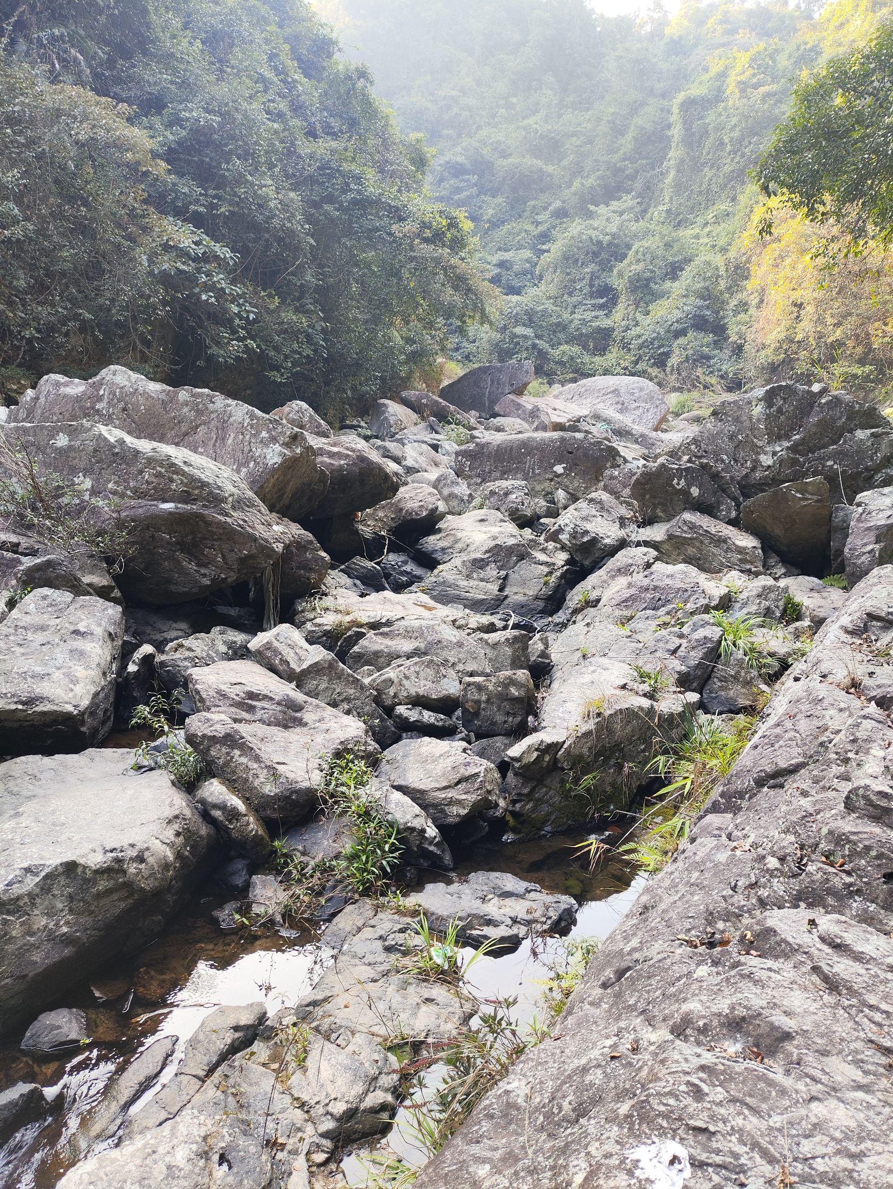 龙漂硿瀑布旅行图片