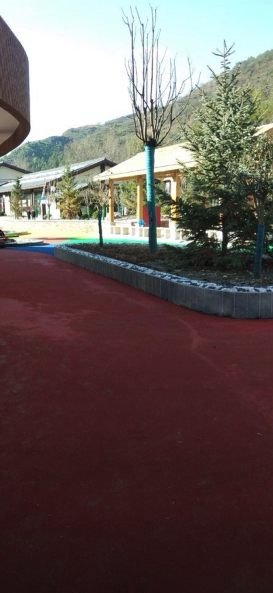长岗公园旅行图片