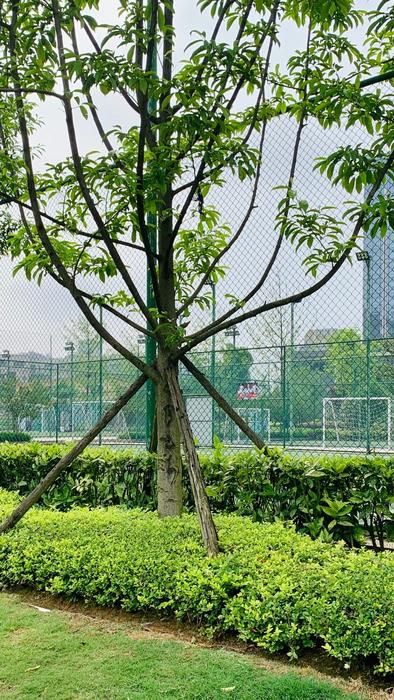 观山湖区双拥公园