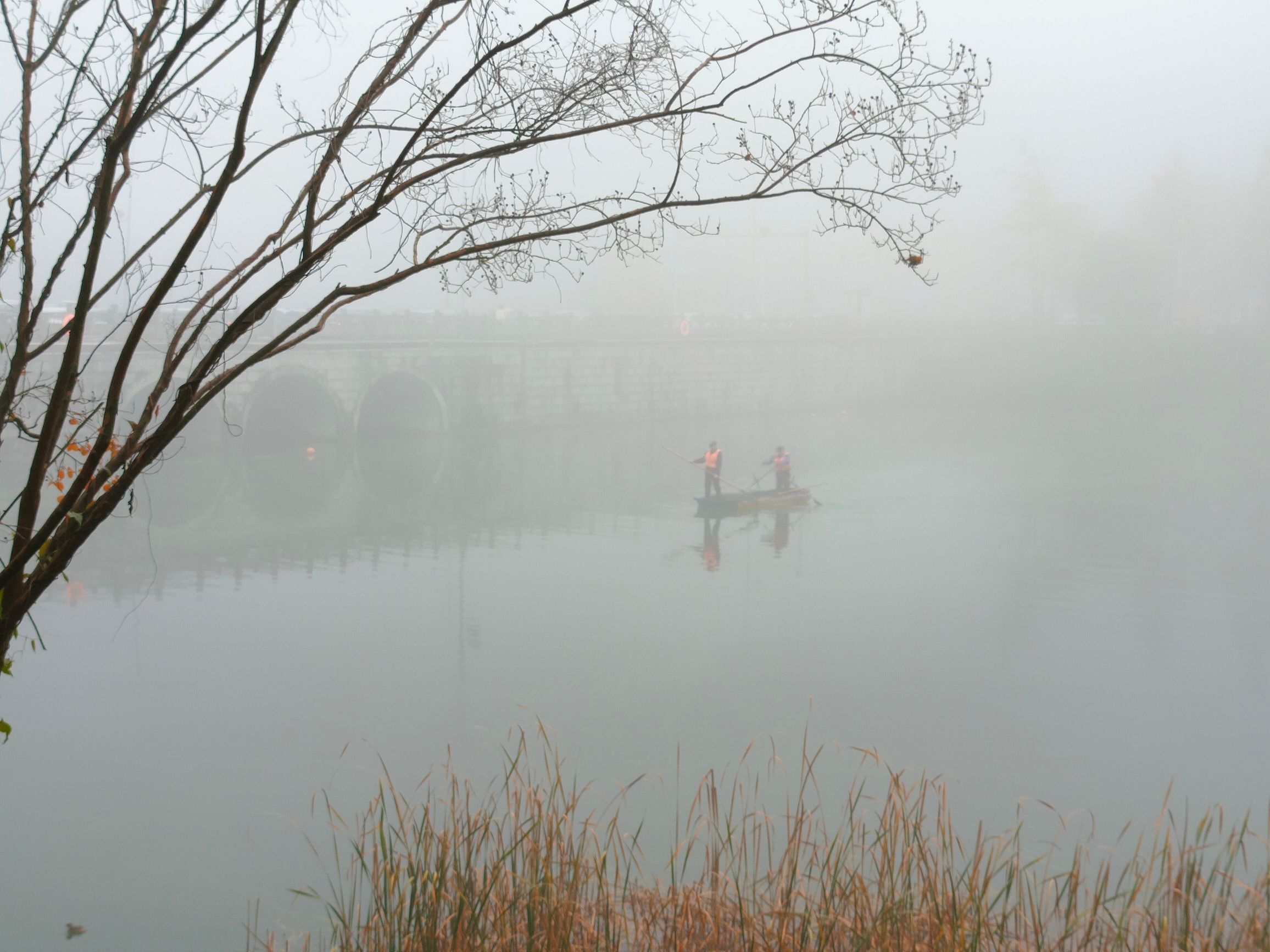 白鹭湖湿地公园