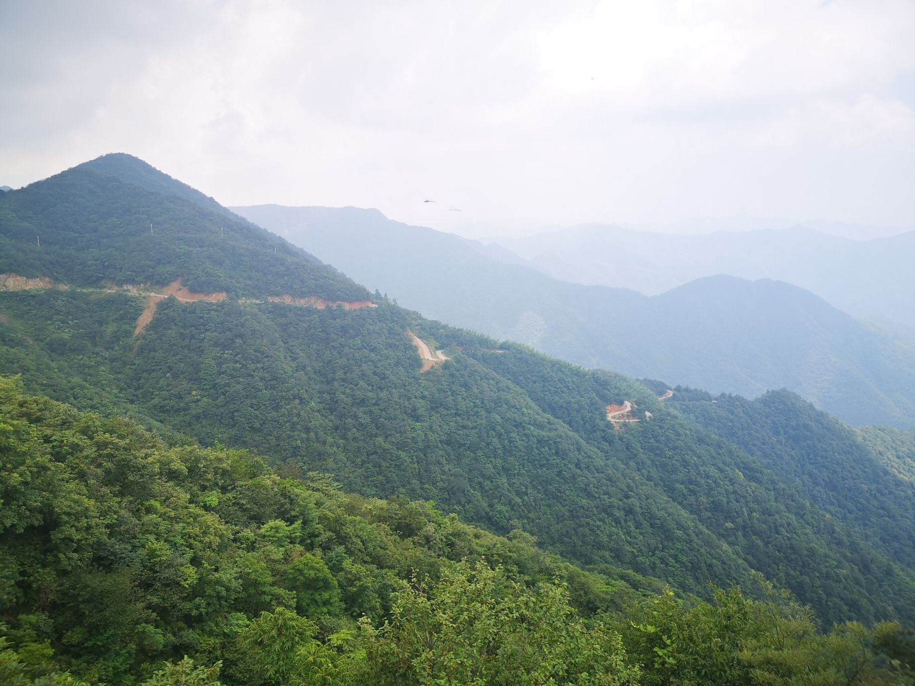 太平山天乙佑圣宫旅行图片