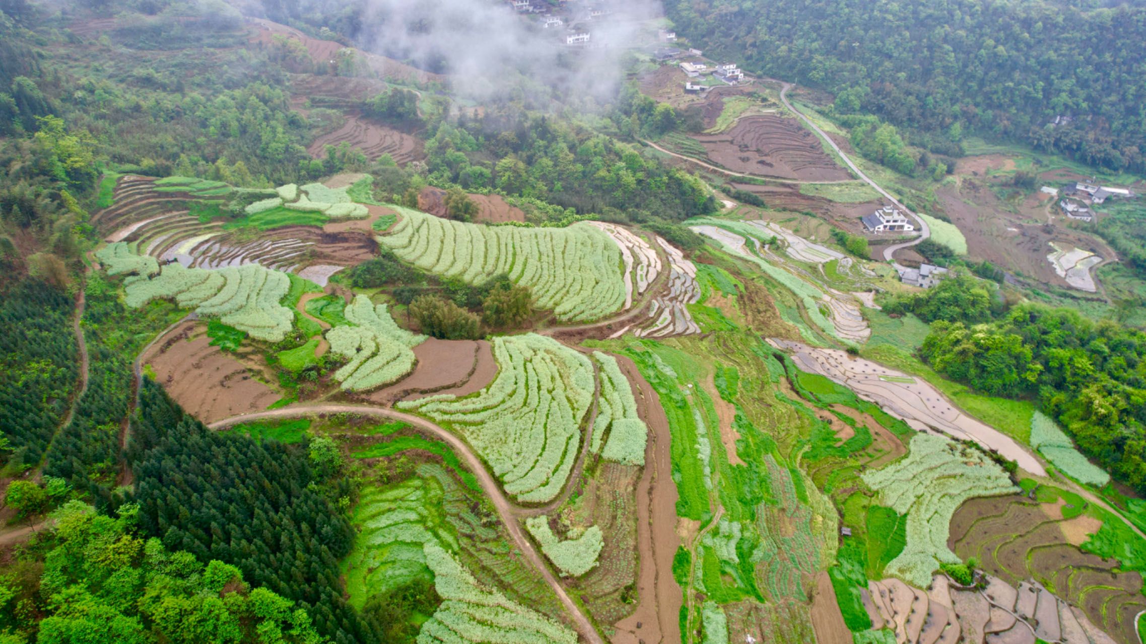 高坎梯田旅游景区