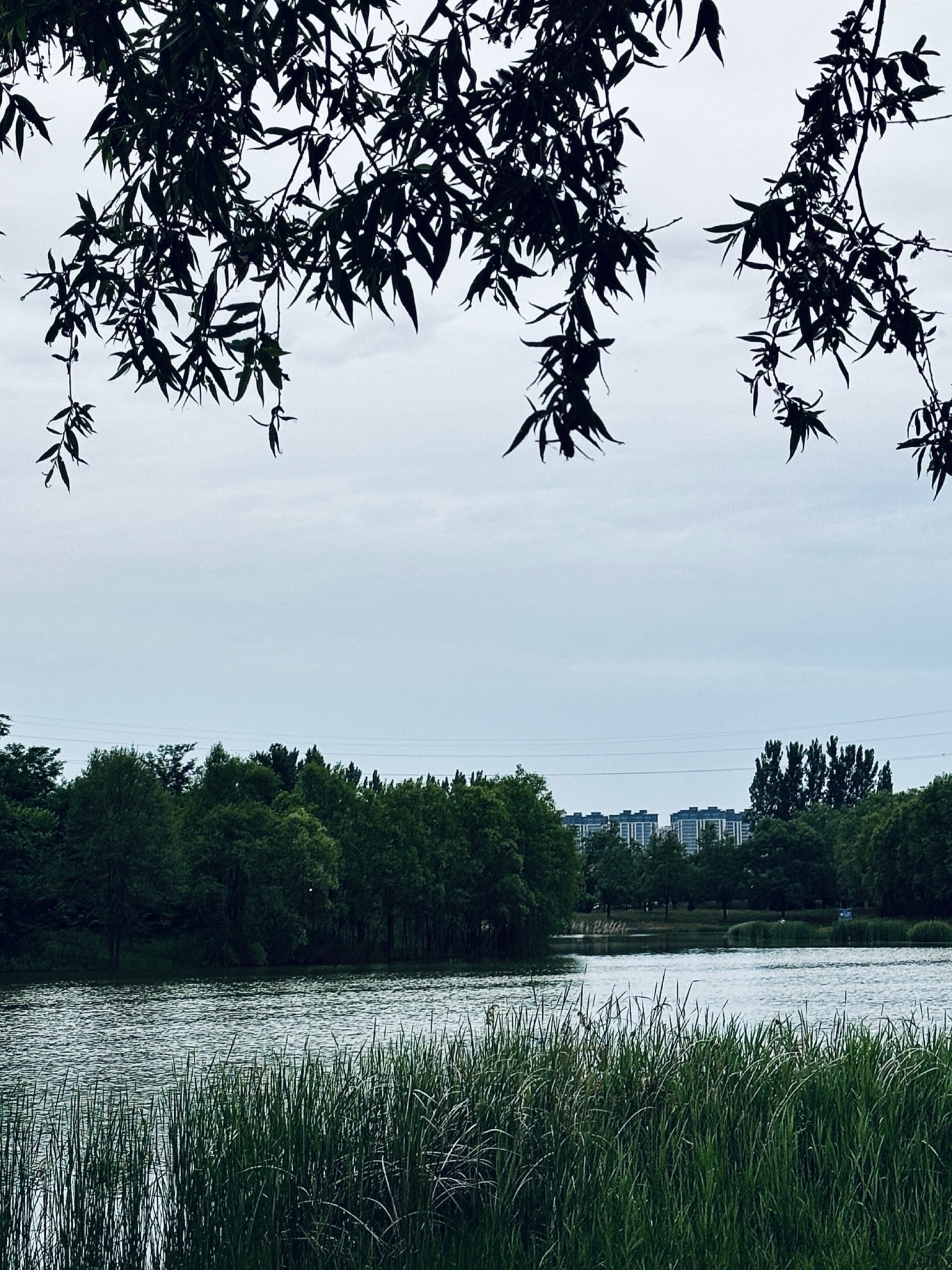 南湖公园旅行图片