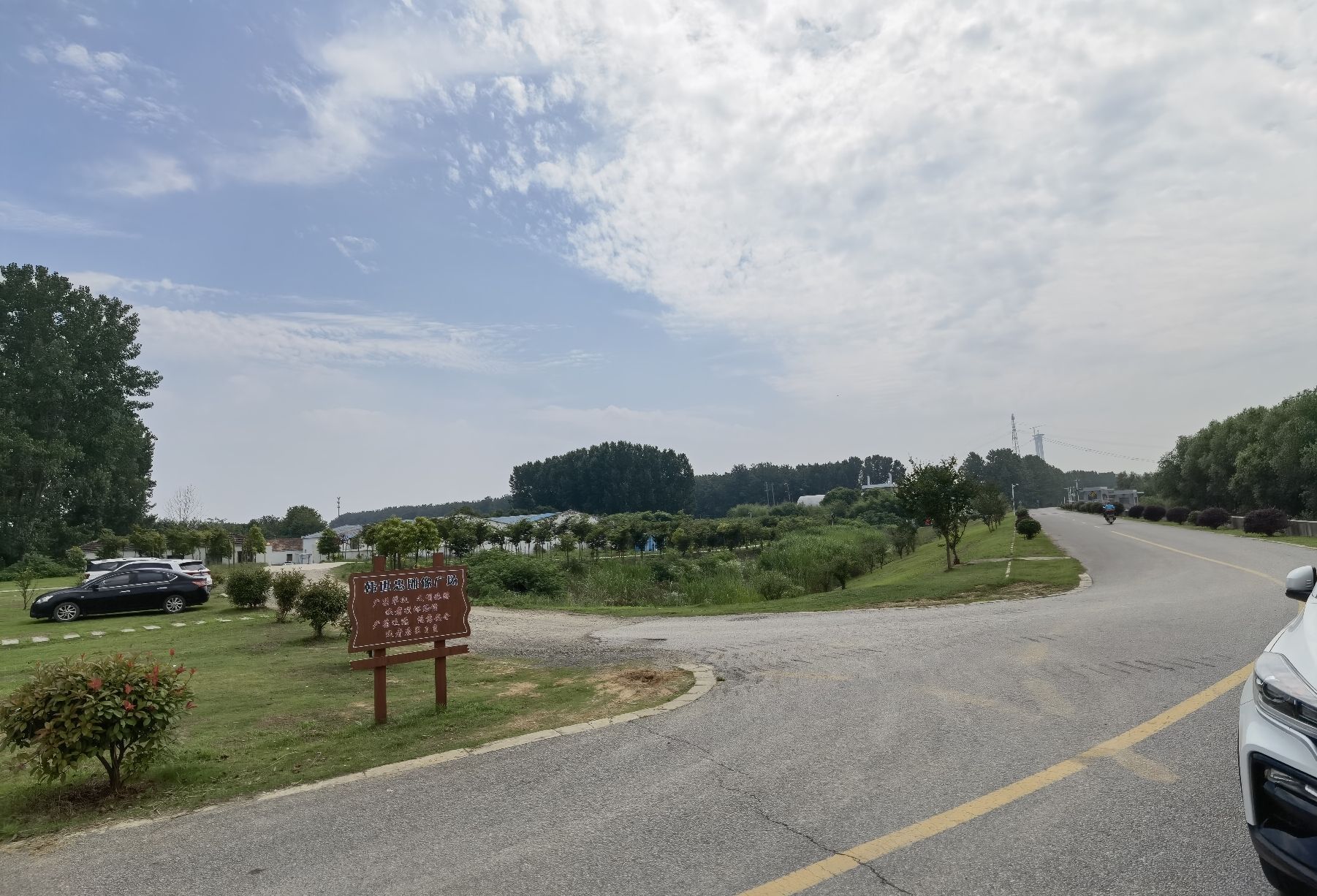 黄天荡湿地公园