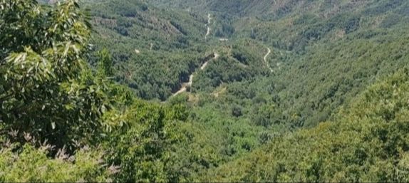 蝎子沟国家森林公园旅行图片
