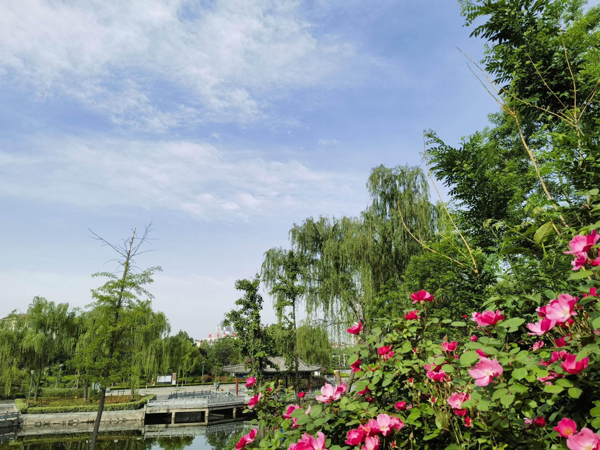 音义河公园旅行图片