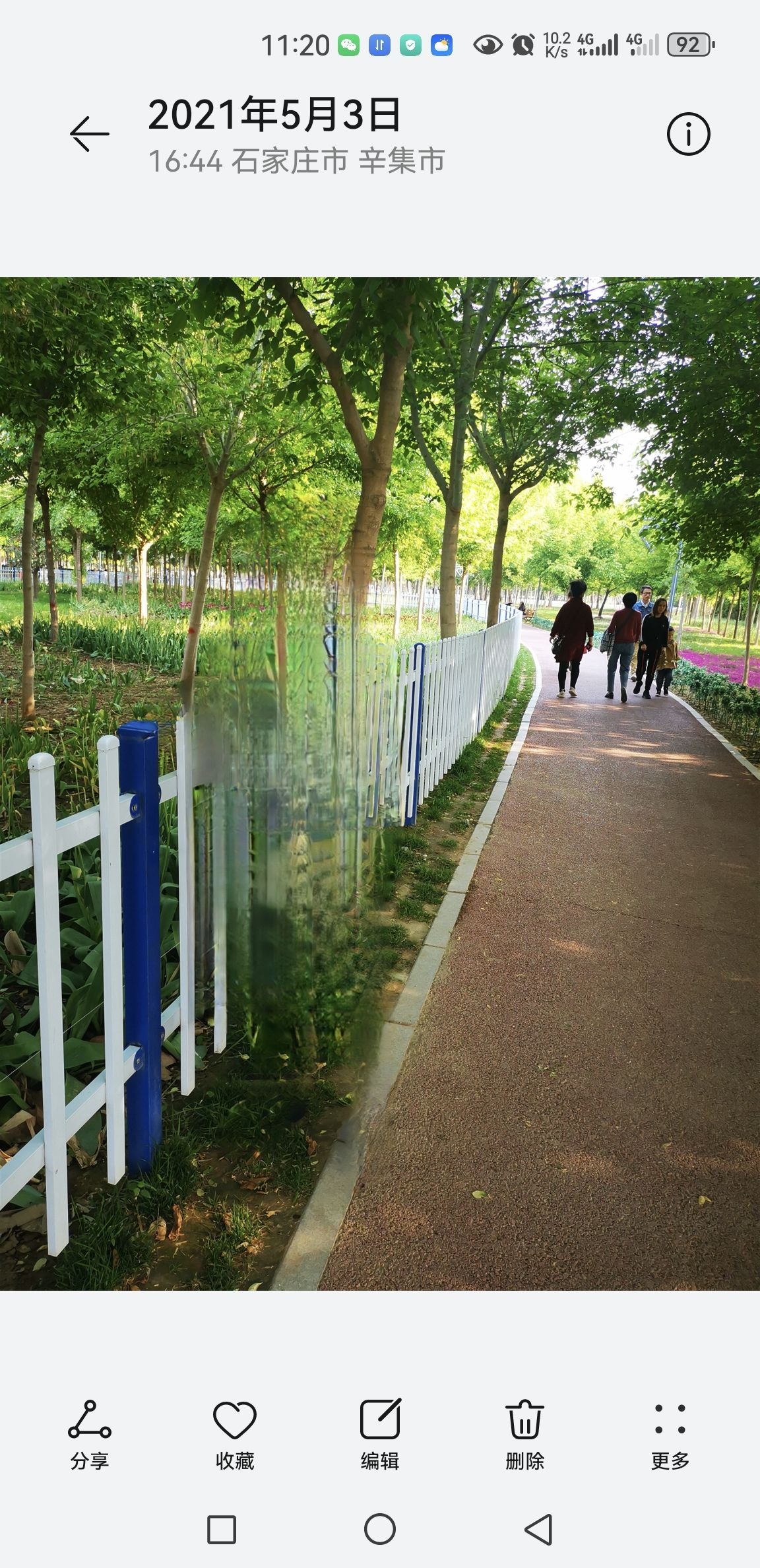 辛集妍园路花海