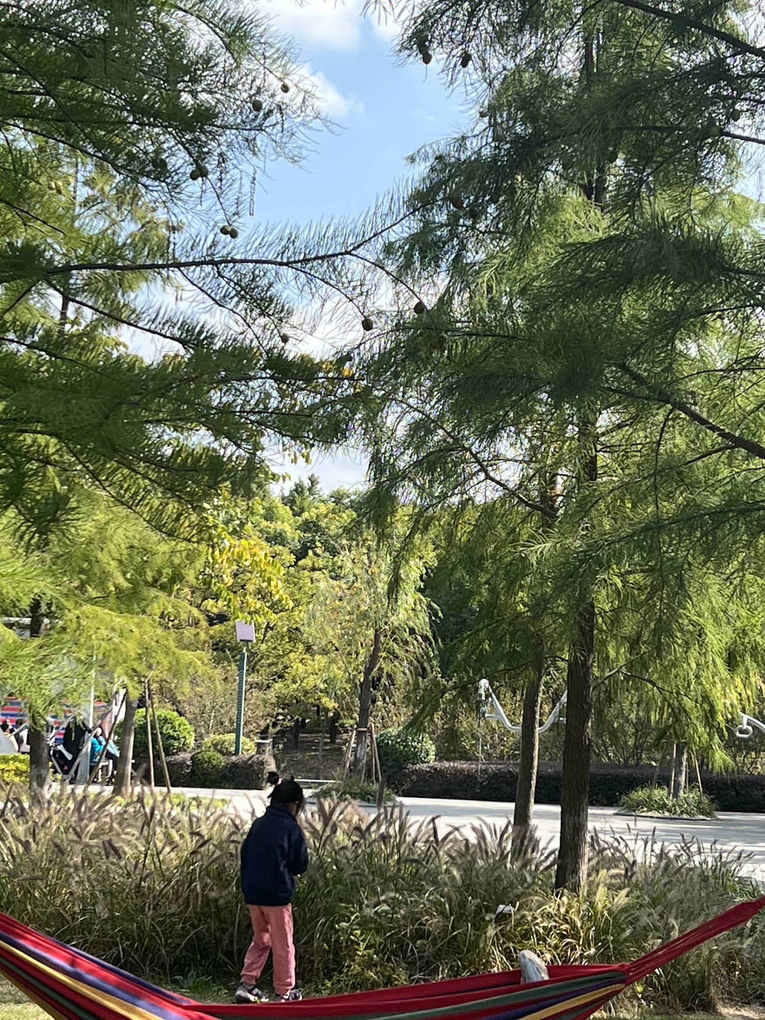 富长路绿地