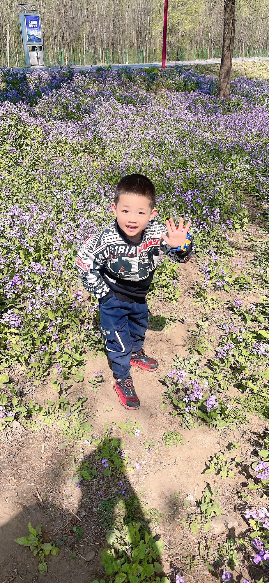 太子岛天鹅湖旅行图片
