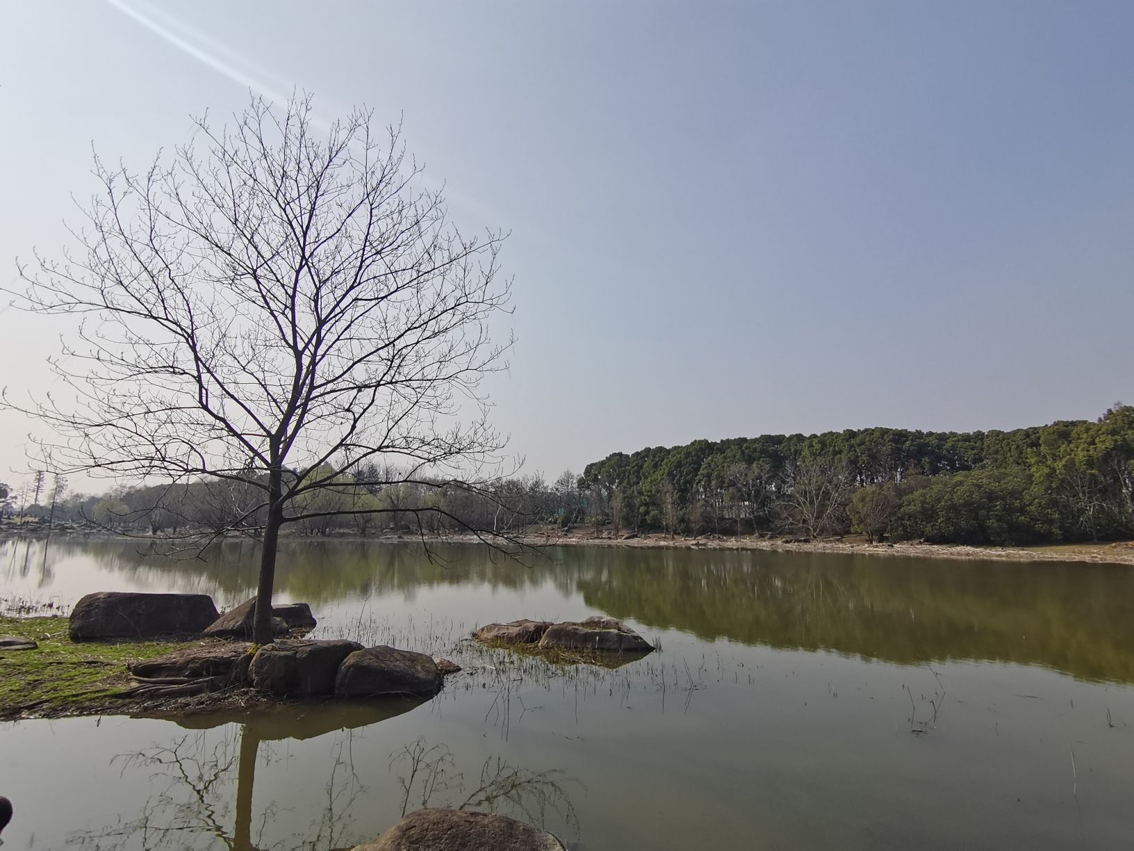 浦江第一湾公园旅行图片