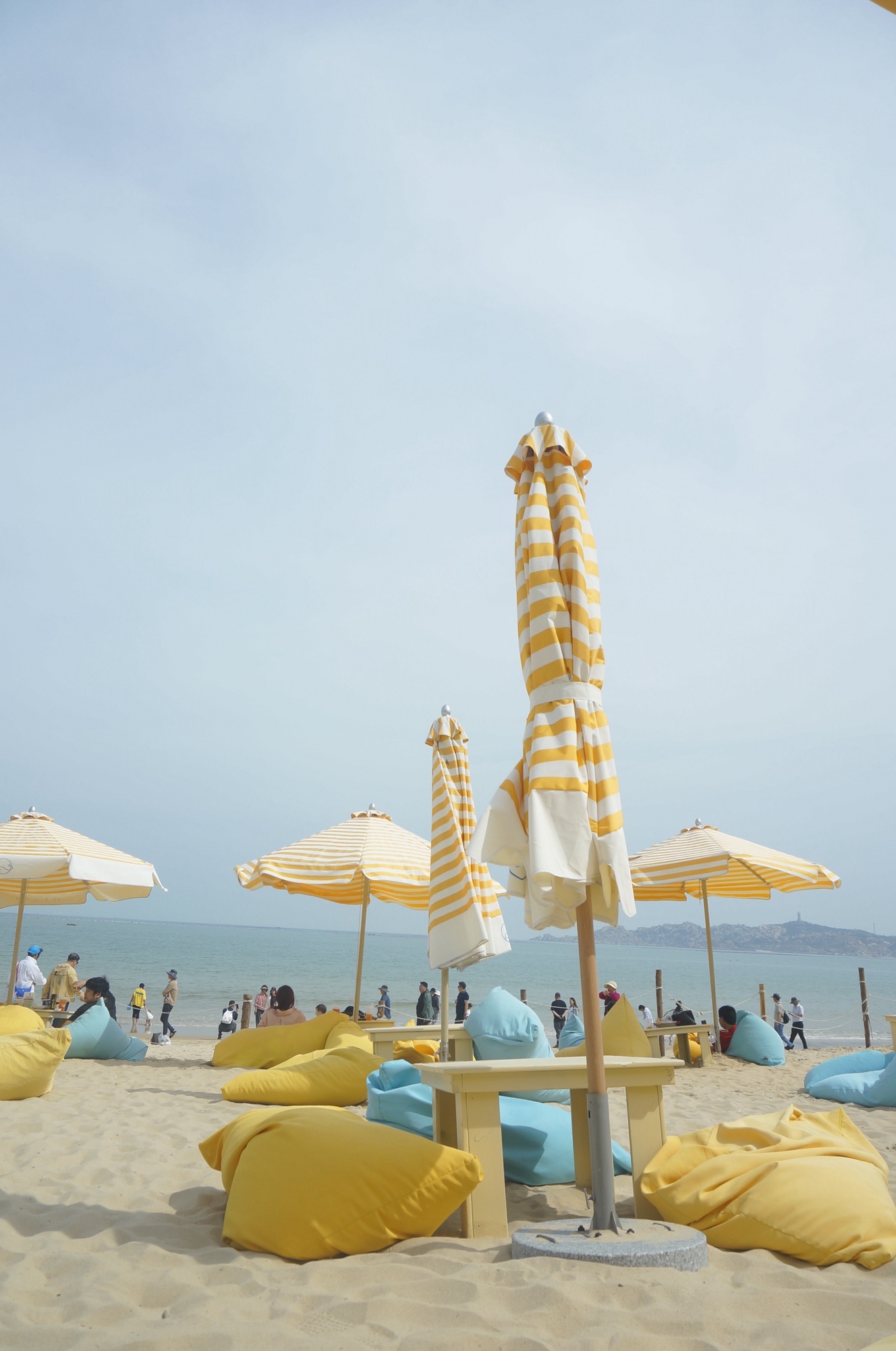 蓝眼泪海滩