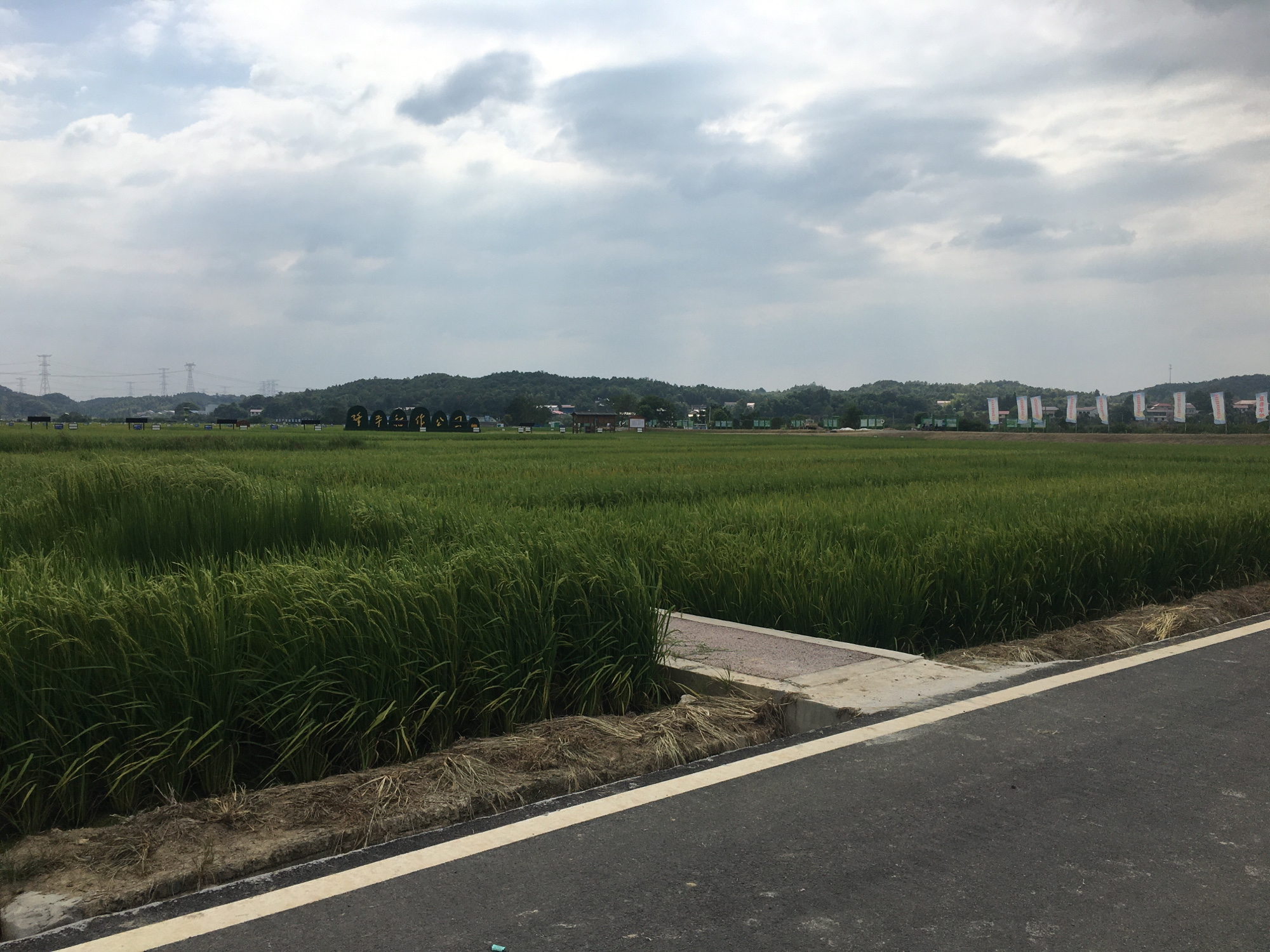 隆平稻作公园