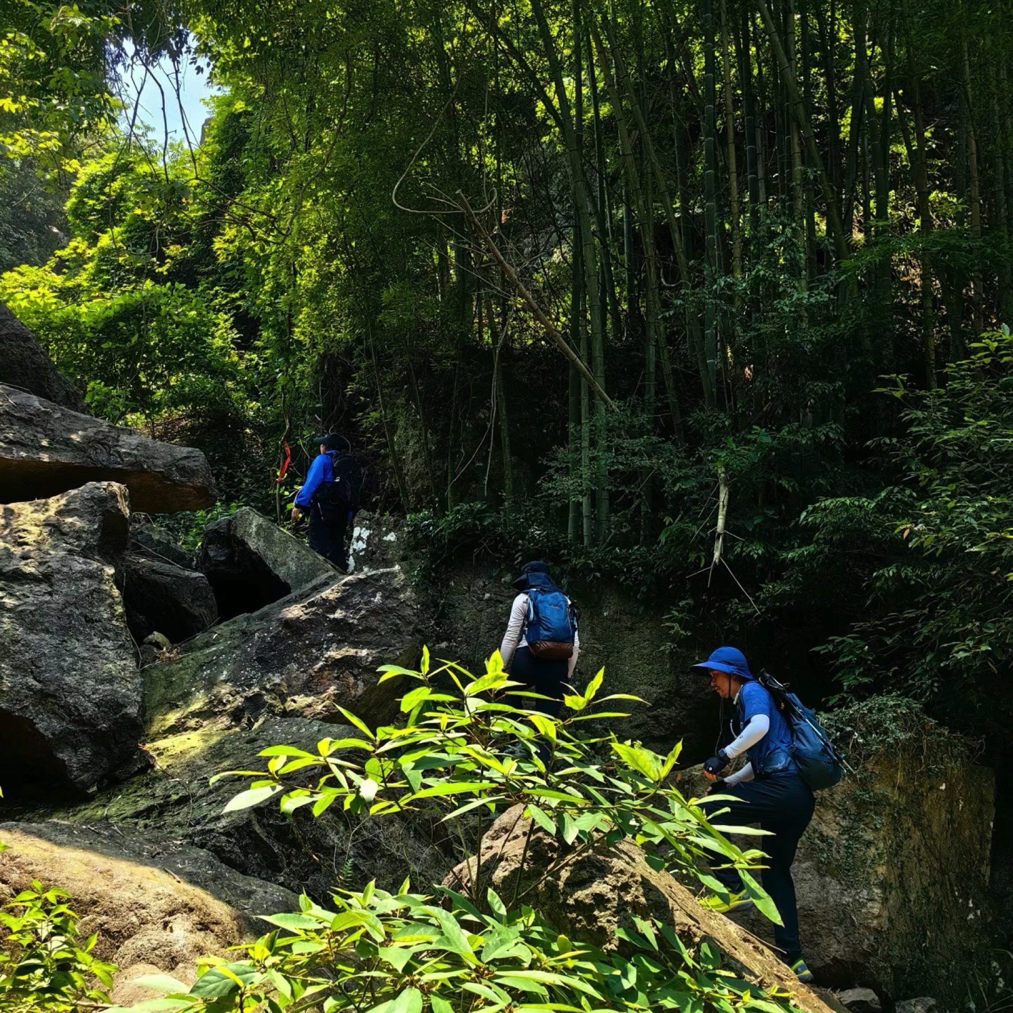 宁波半山伴水景区