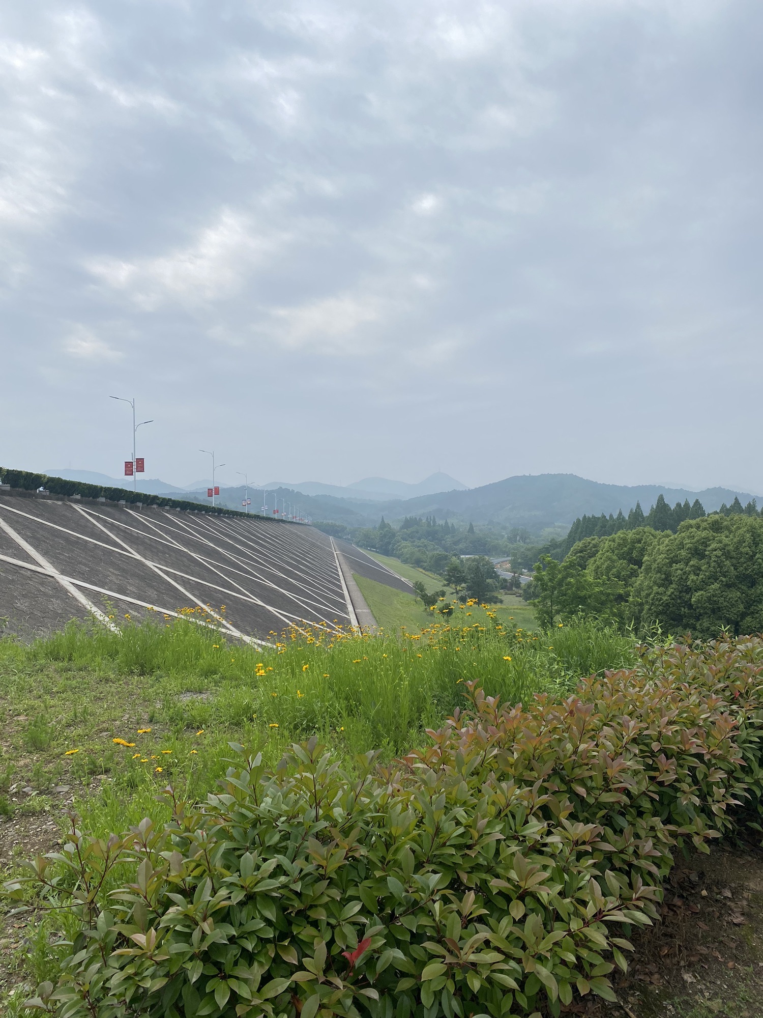 水库观景点