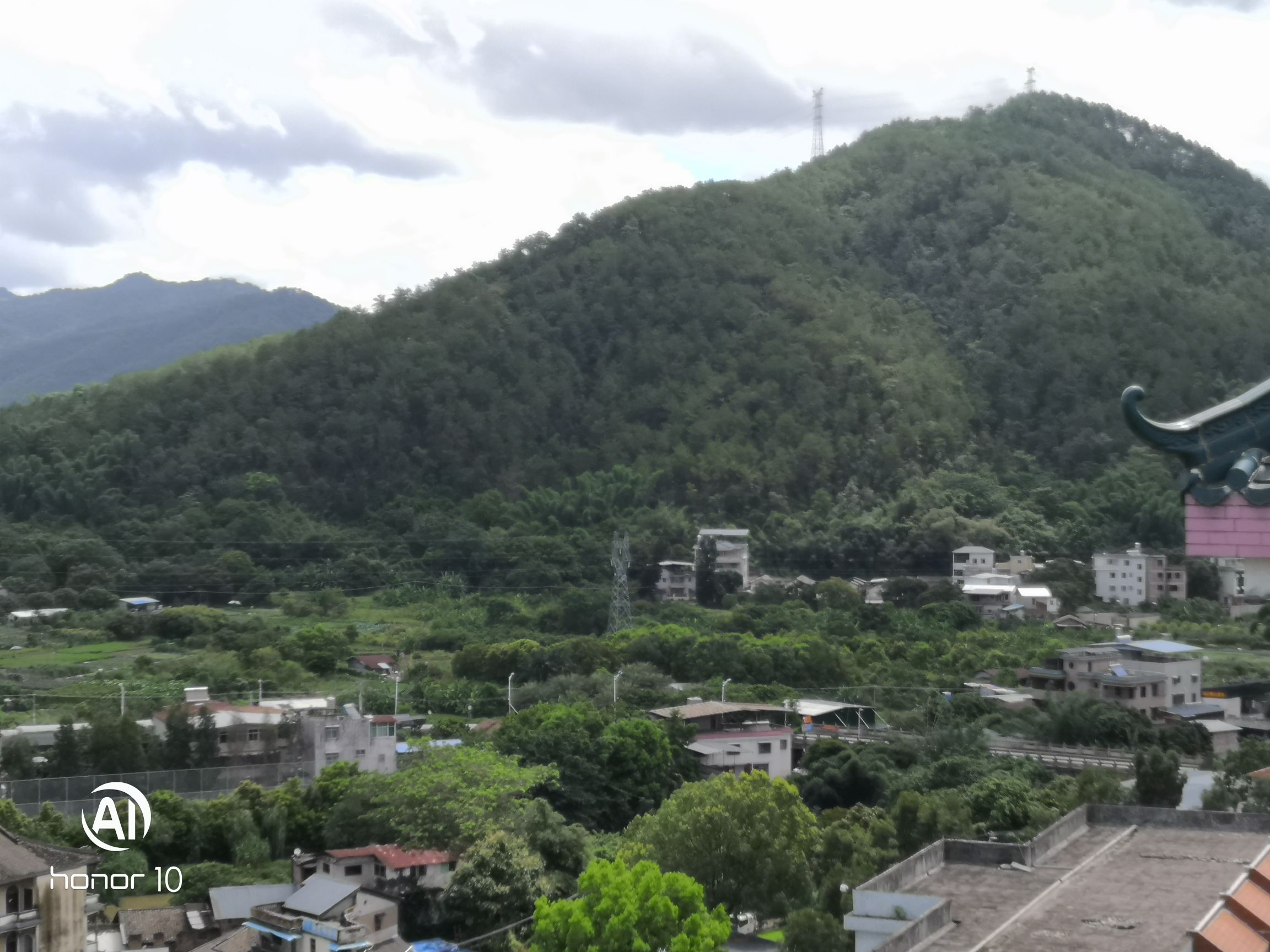 城东镇象山森林公园