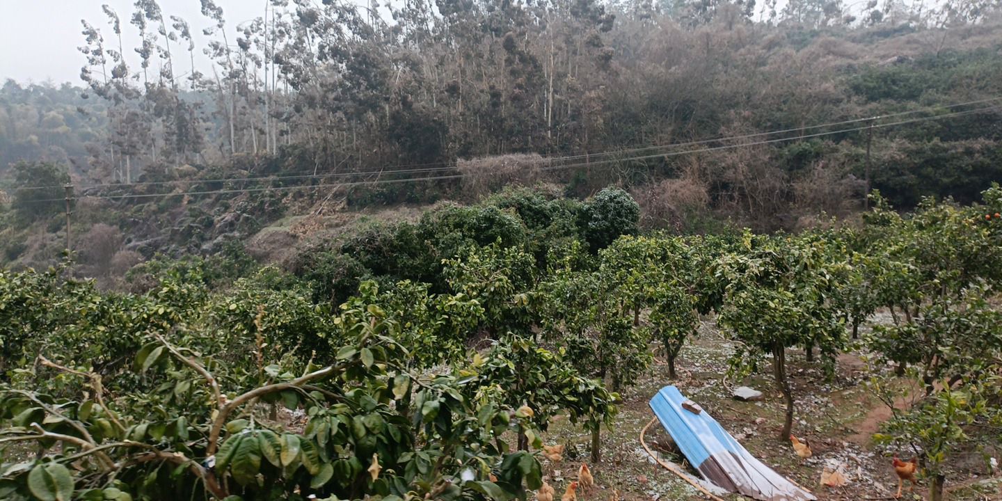 珠晖山地森林公园旅行图片