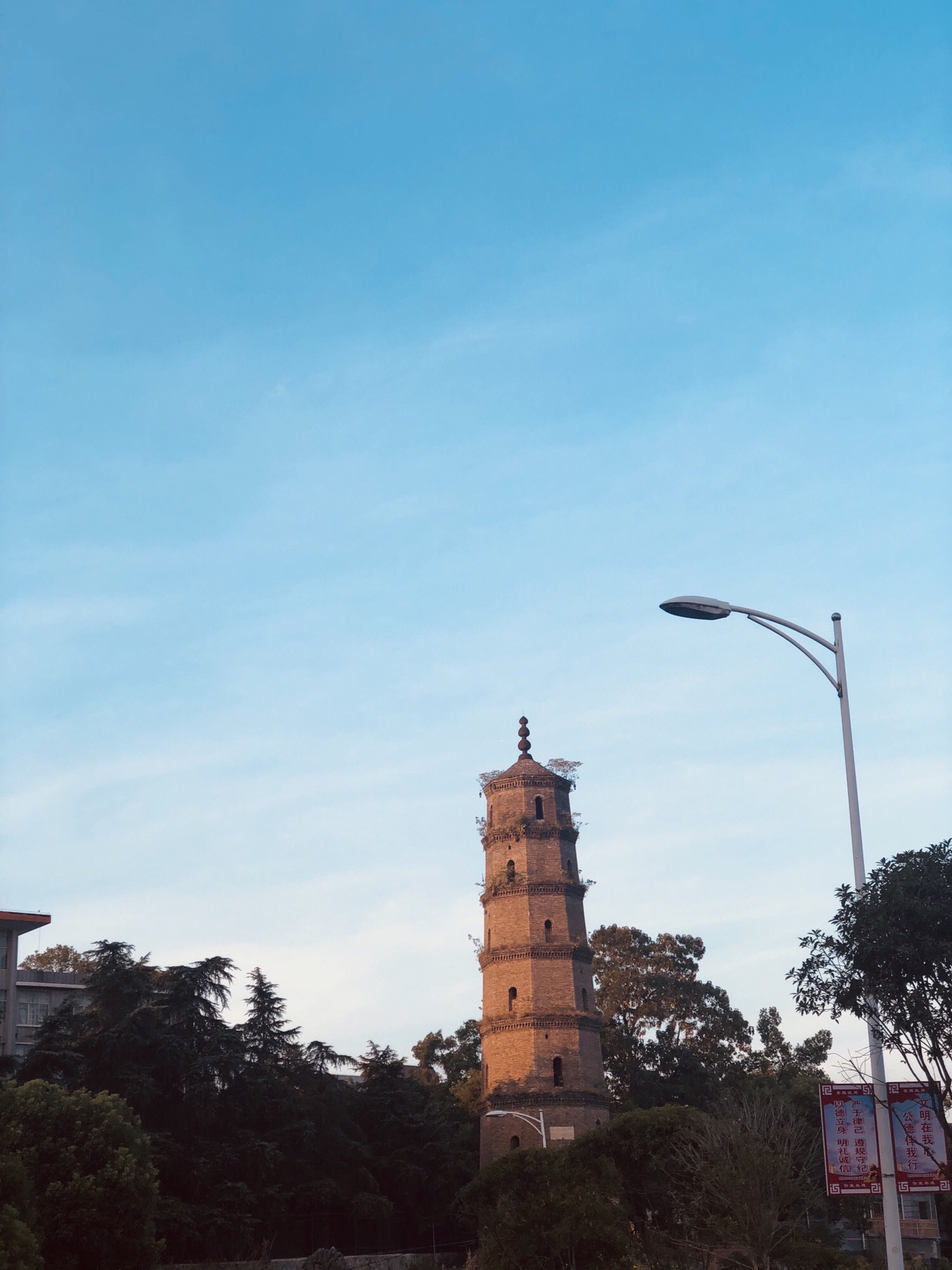 凌云塔旅行图片