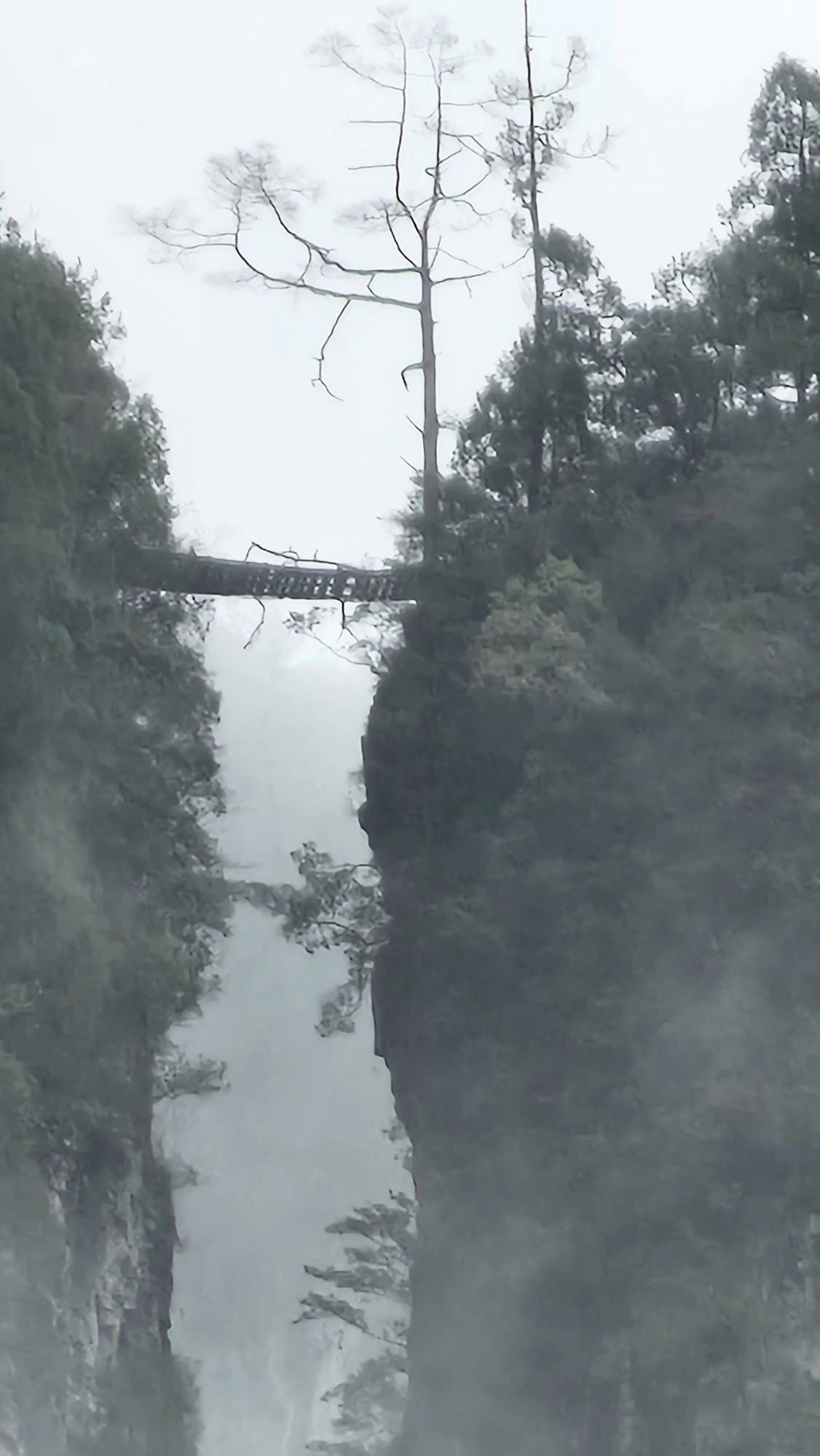五峰岭旅行图片