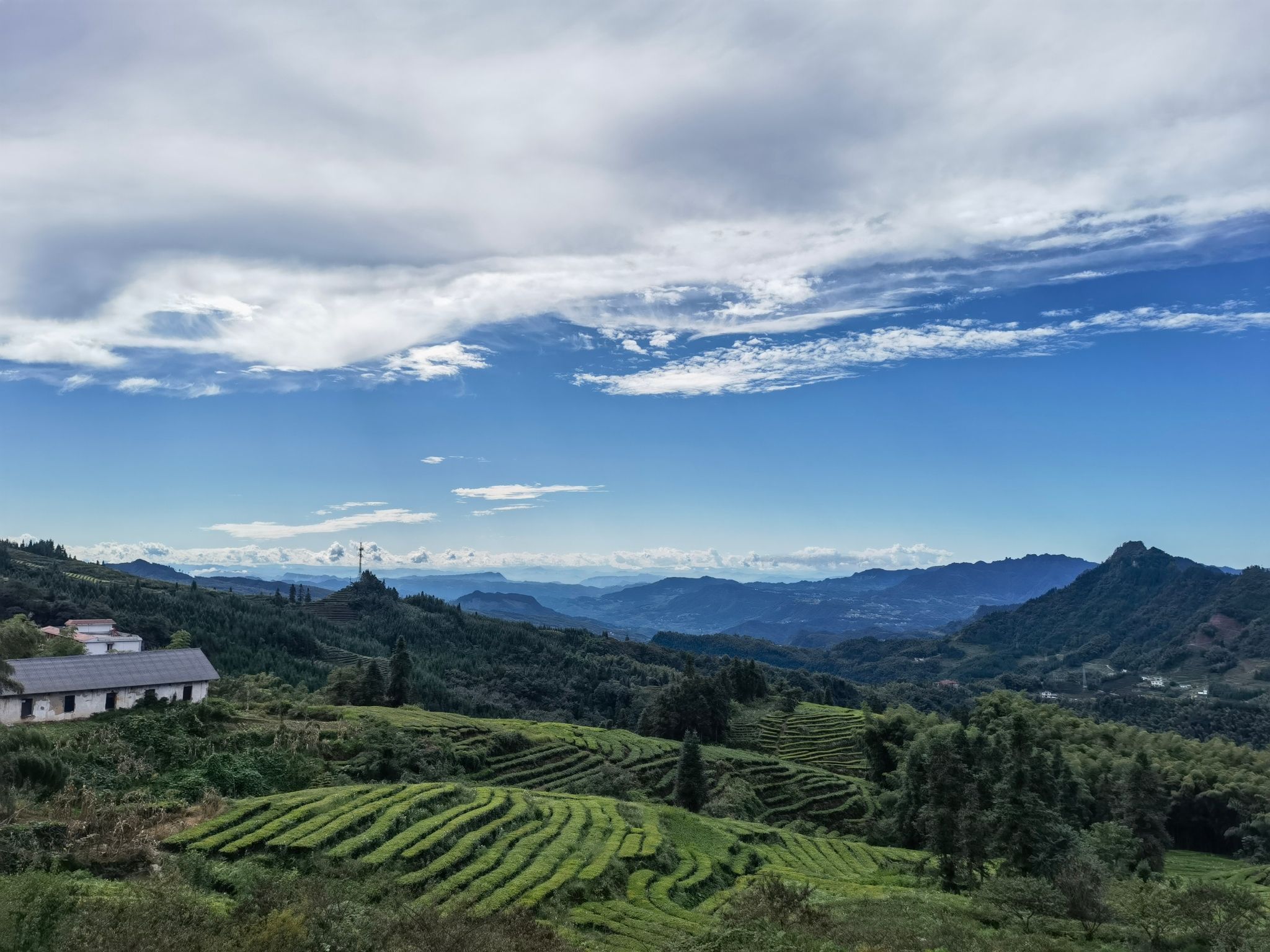 鹿鸣茶海旅游景区