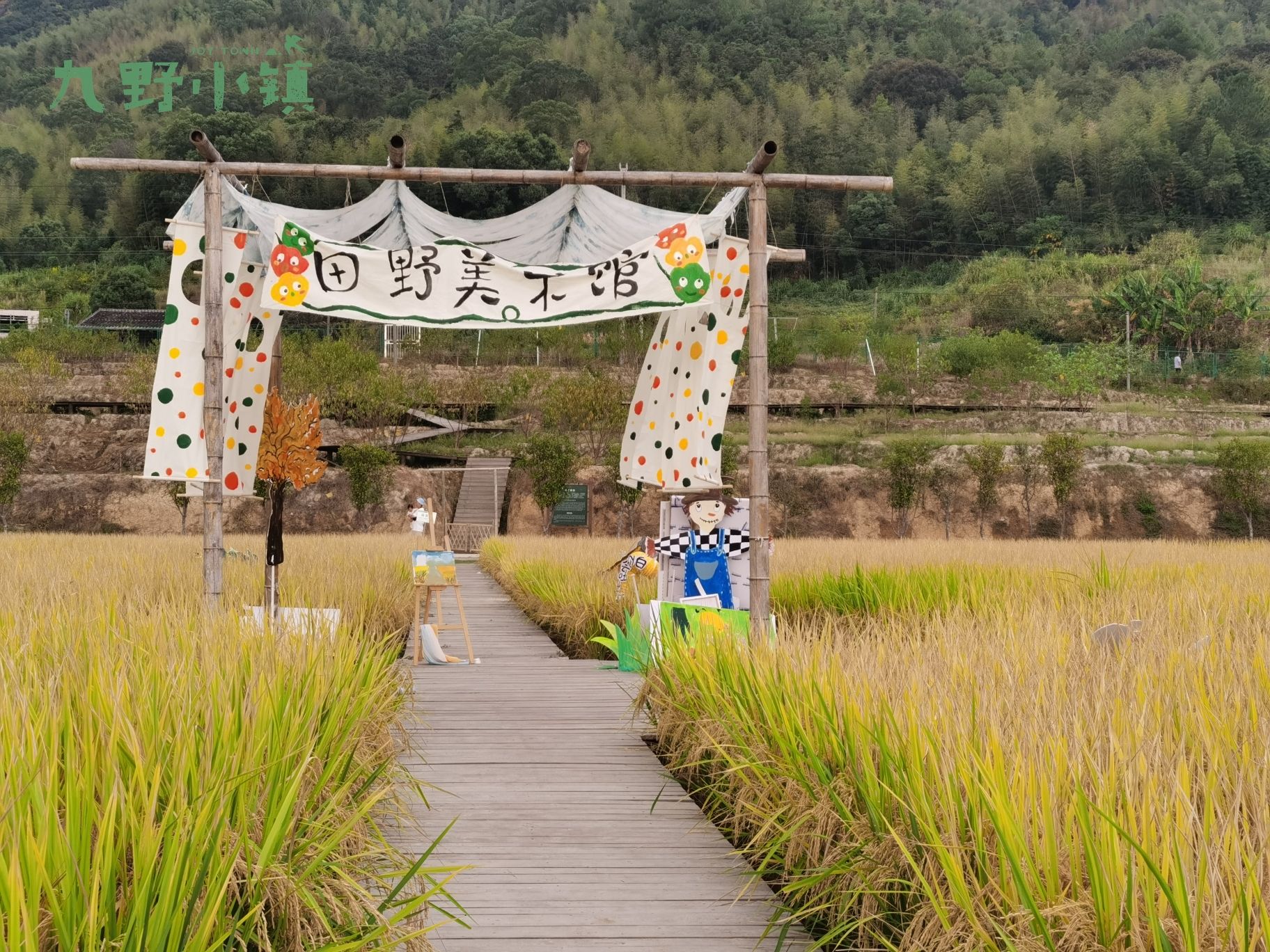 九野小镇旅行图片