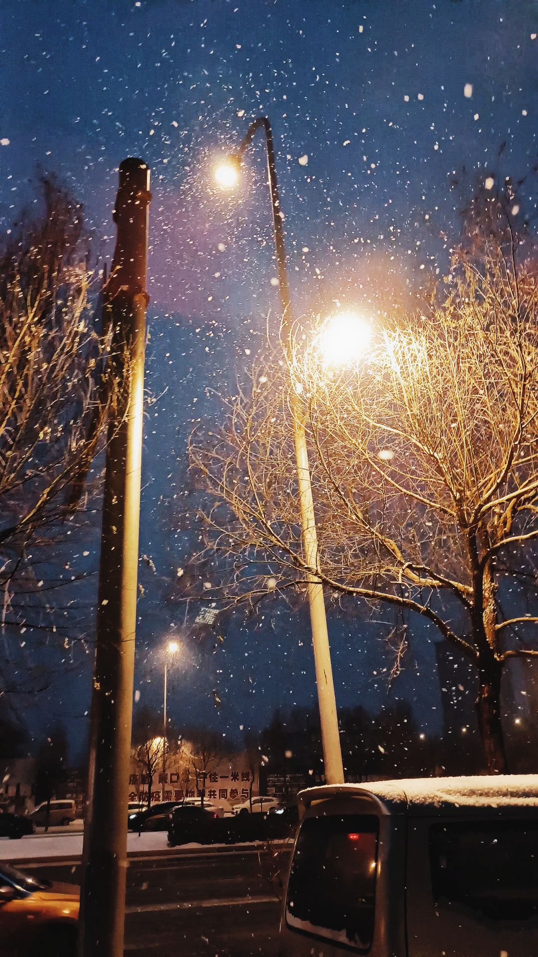 东直公园