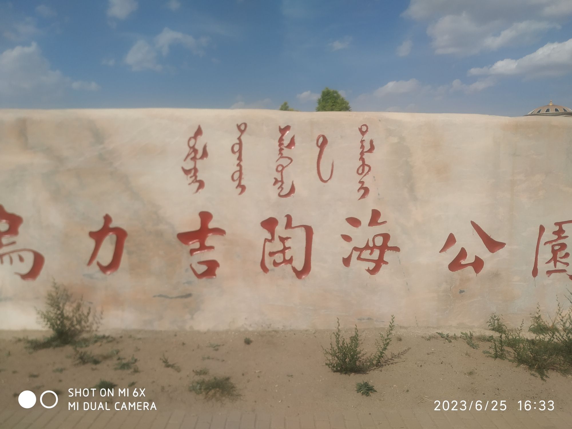 乌力吉陶海公园