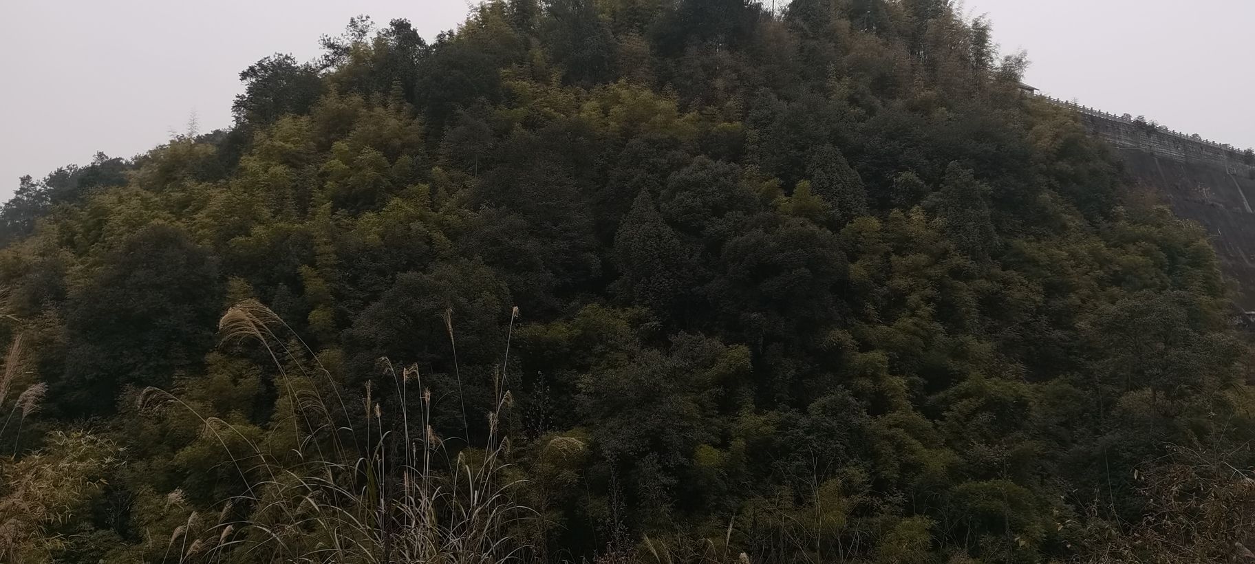 狸狐洞水库旅行图片