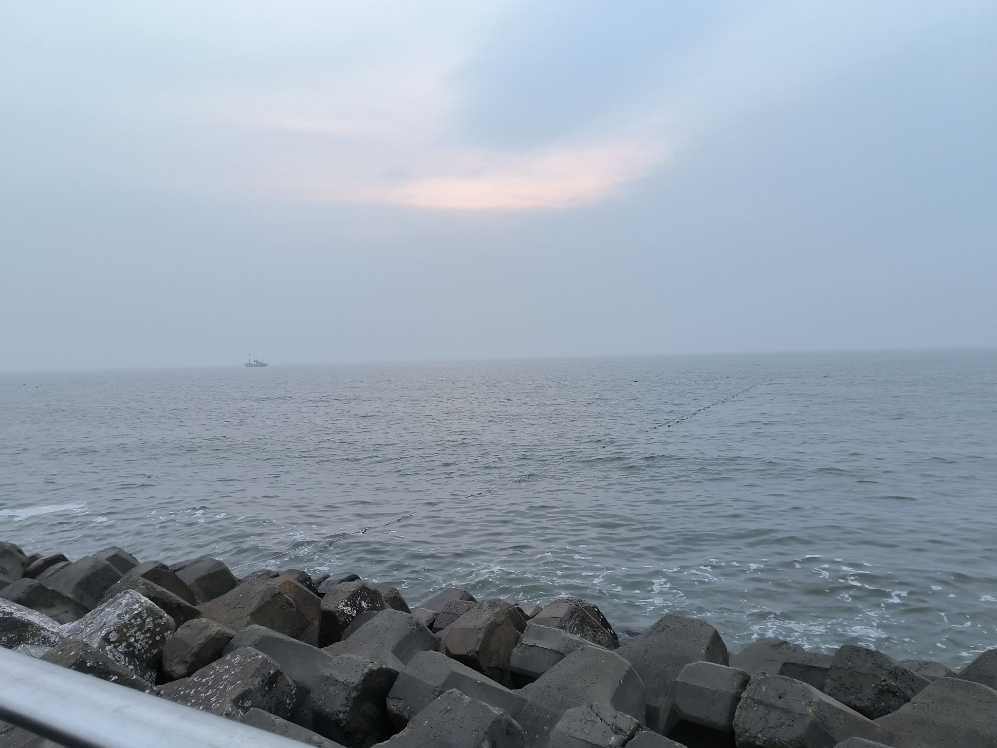 东堤公园旅行图片