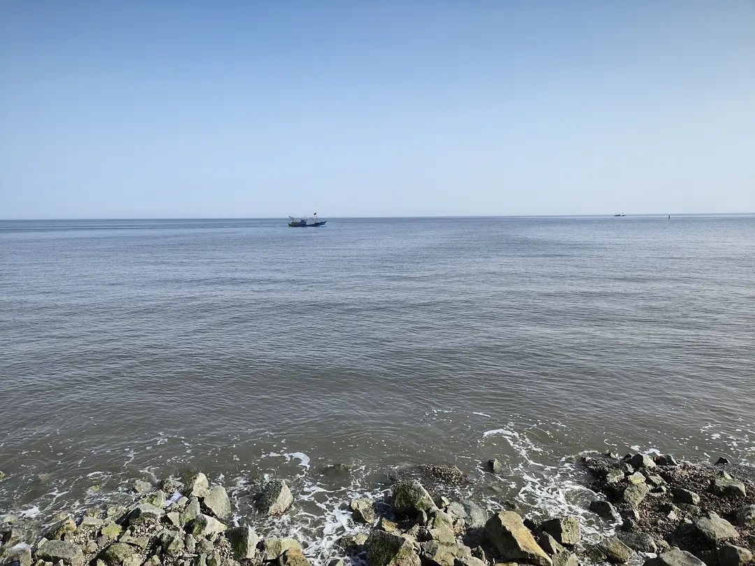 东堤公园旅行图片