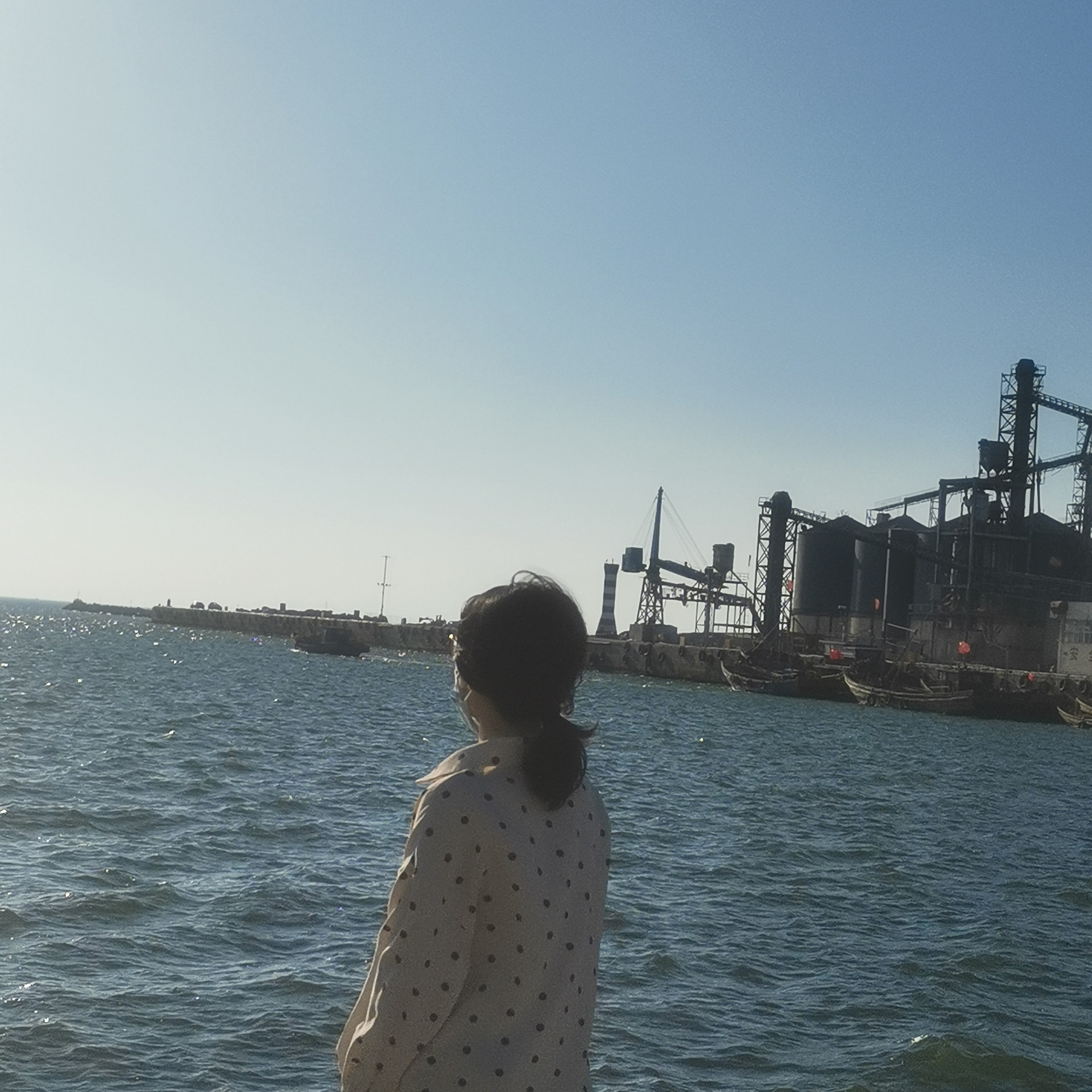 海庙拾贝滩