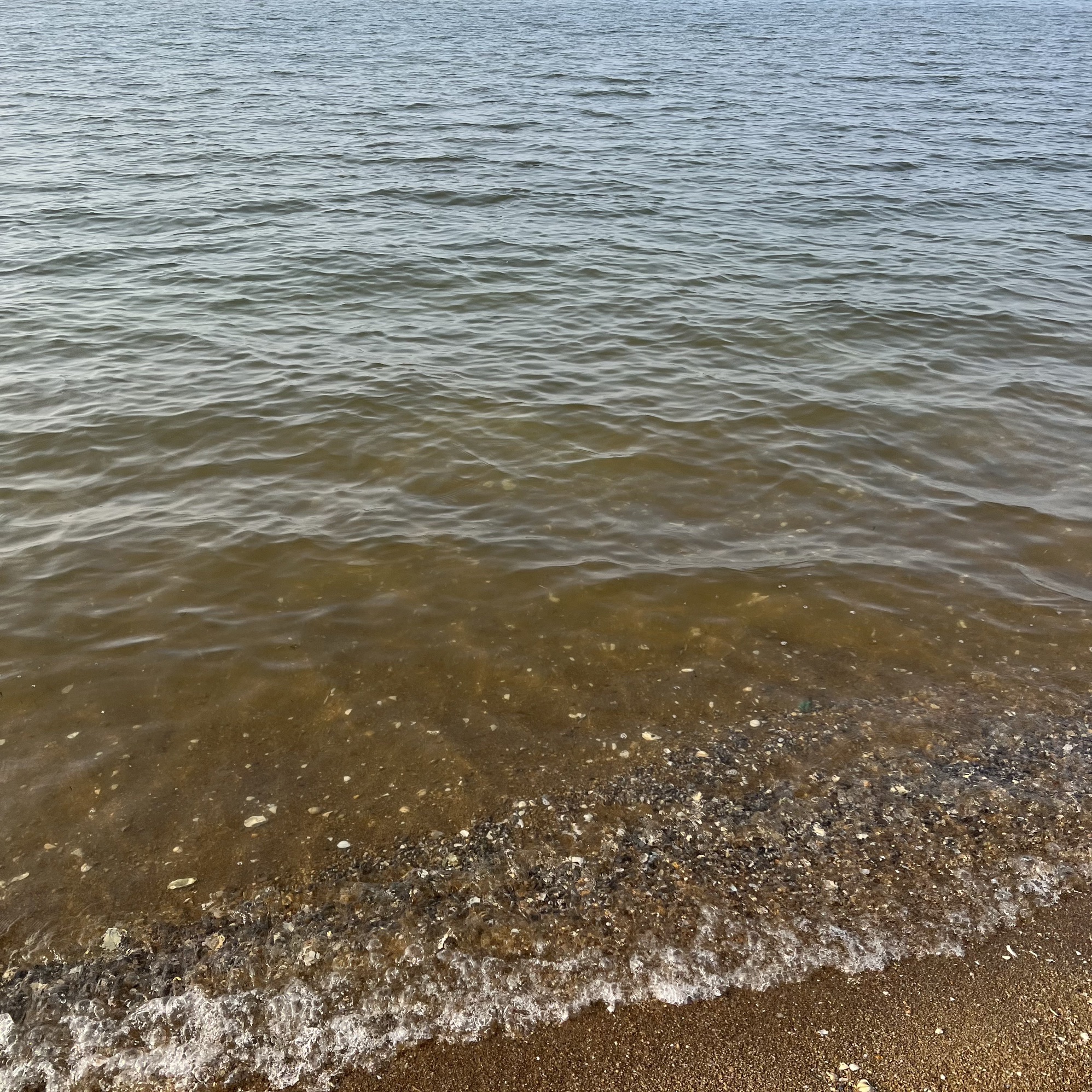 海庙拾贝滩旅行图片