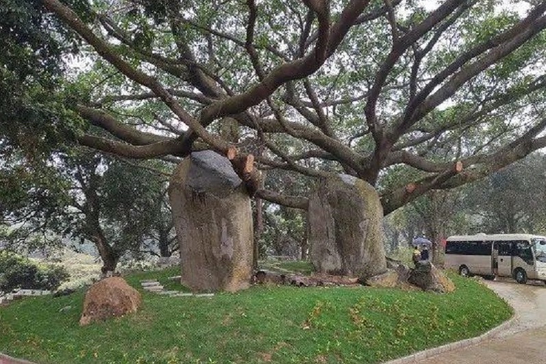 佛子岭合掌石