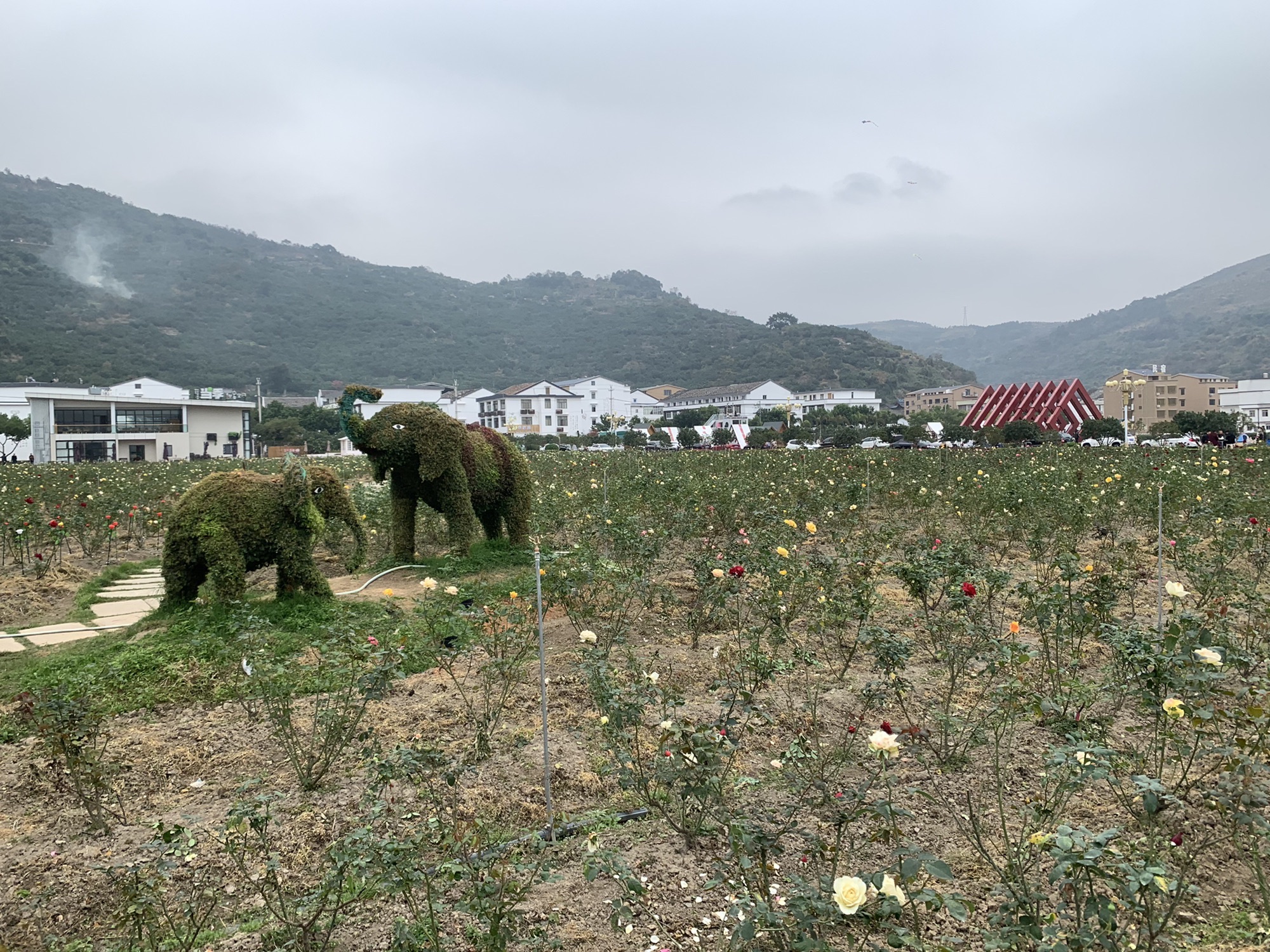 四季柚主题公园