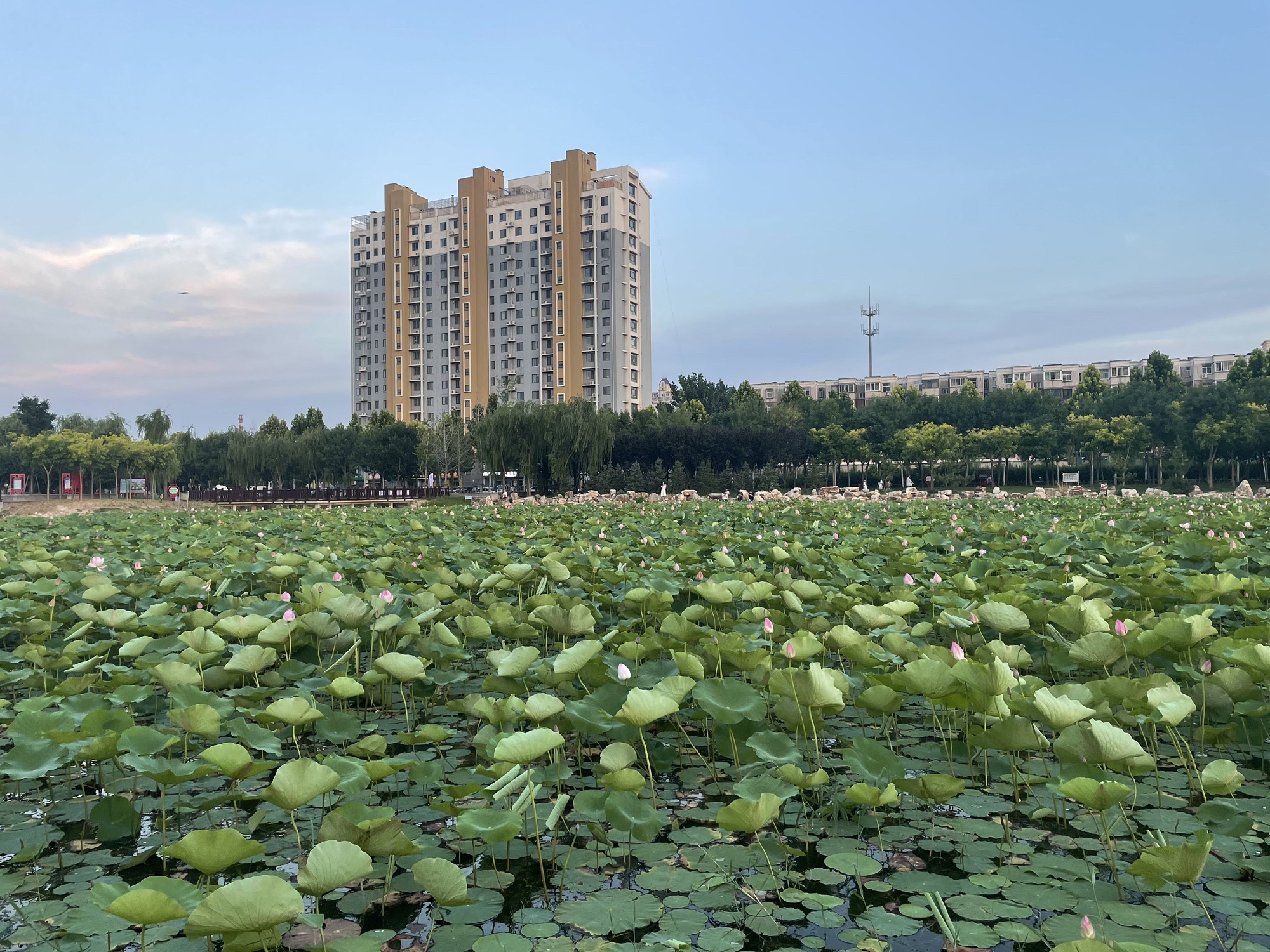 襄都湖公园旅行图片