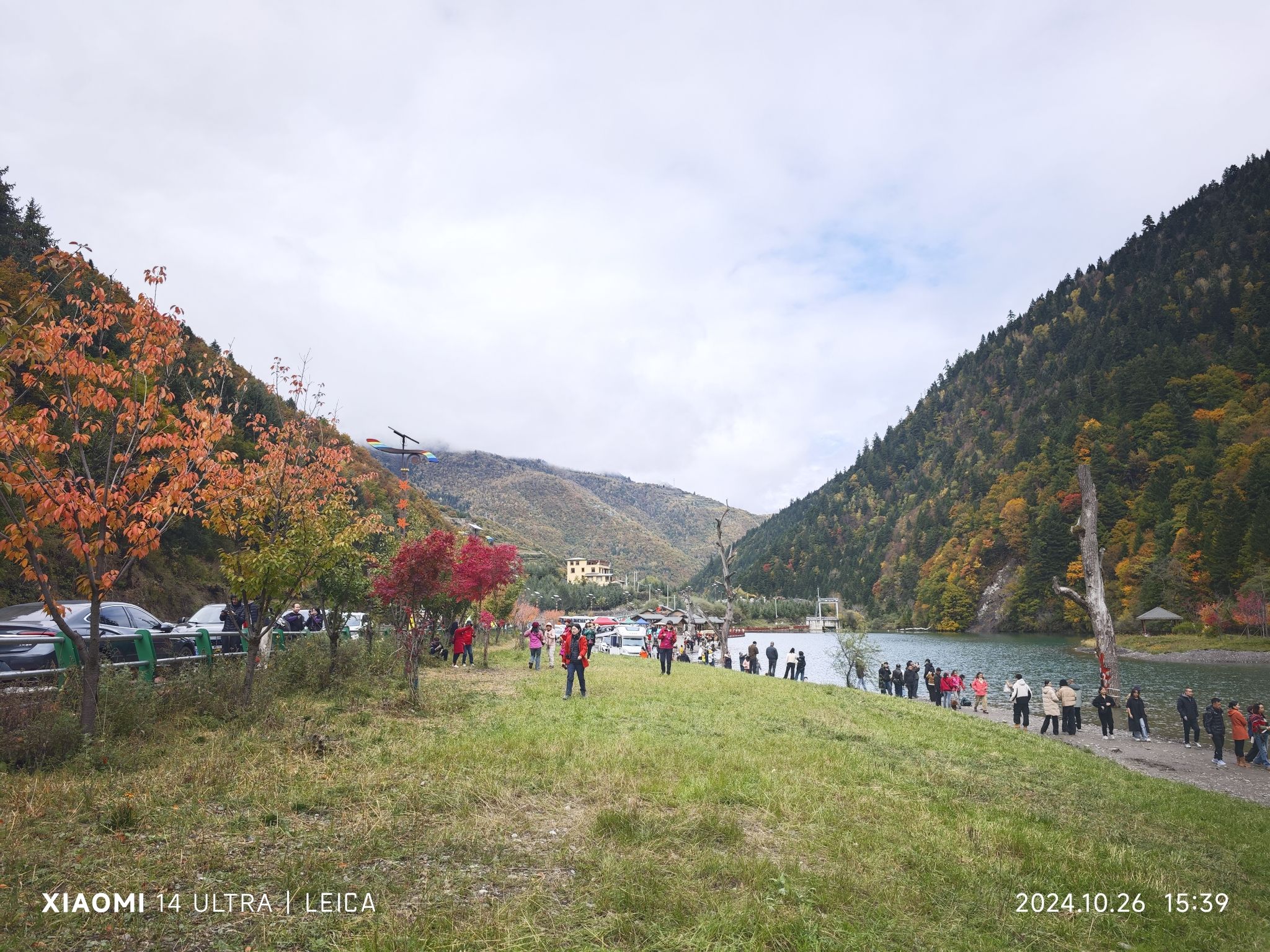 奶子沟彩林公园景区-洛哩措旅行图片