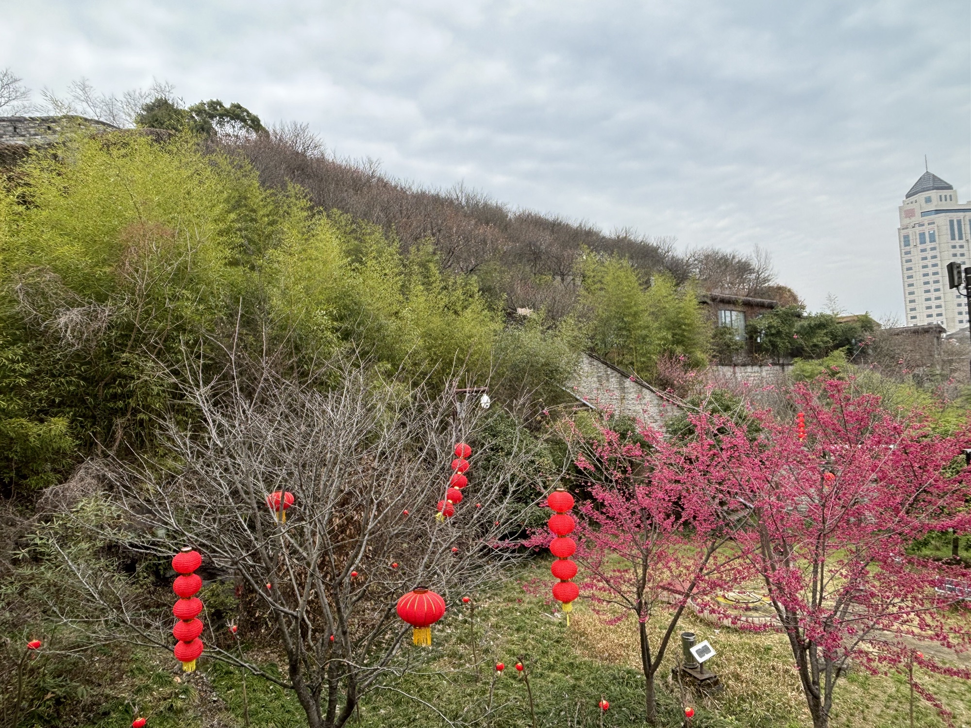 台州府城文化旅游区旅行图片