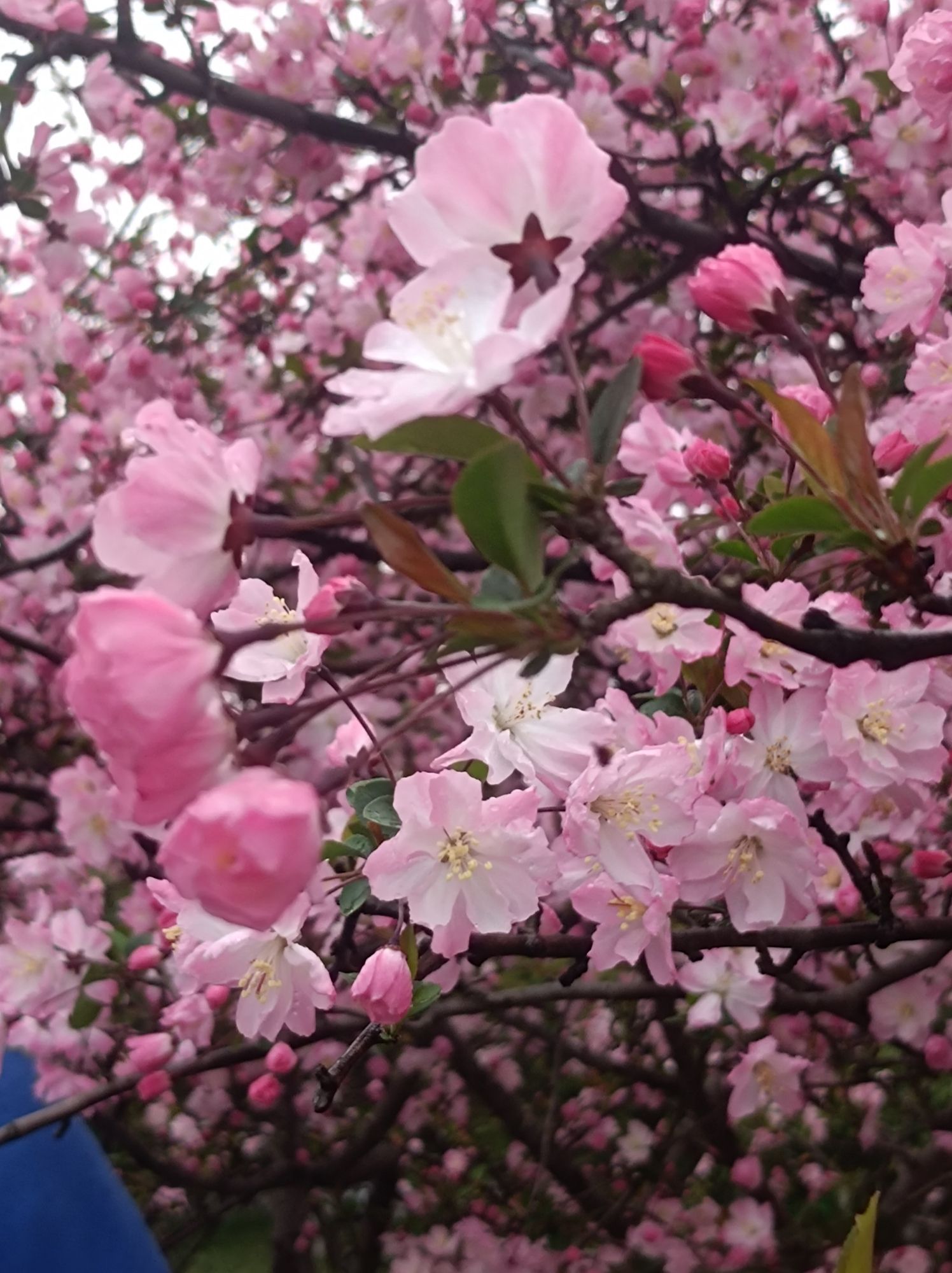 杭州沿江景观公园