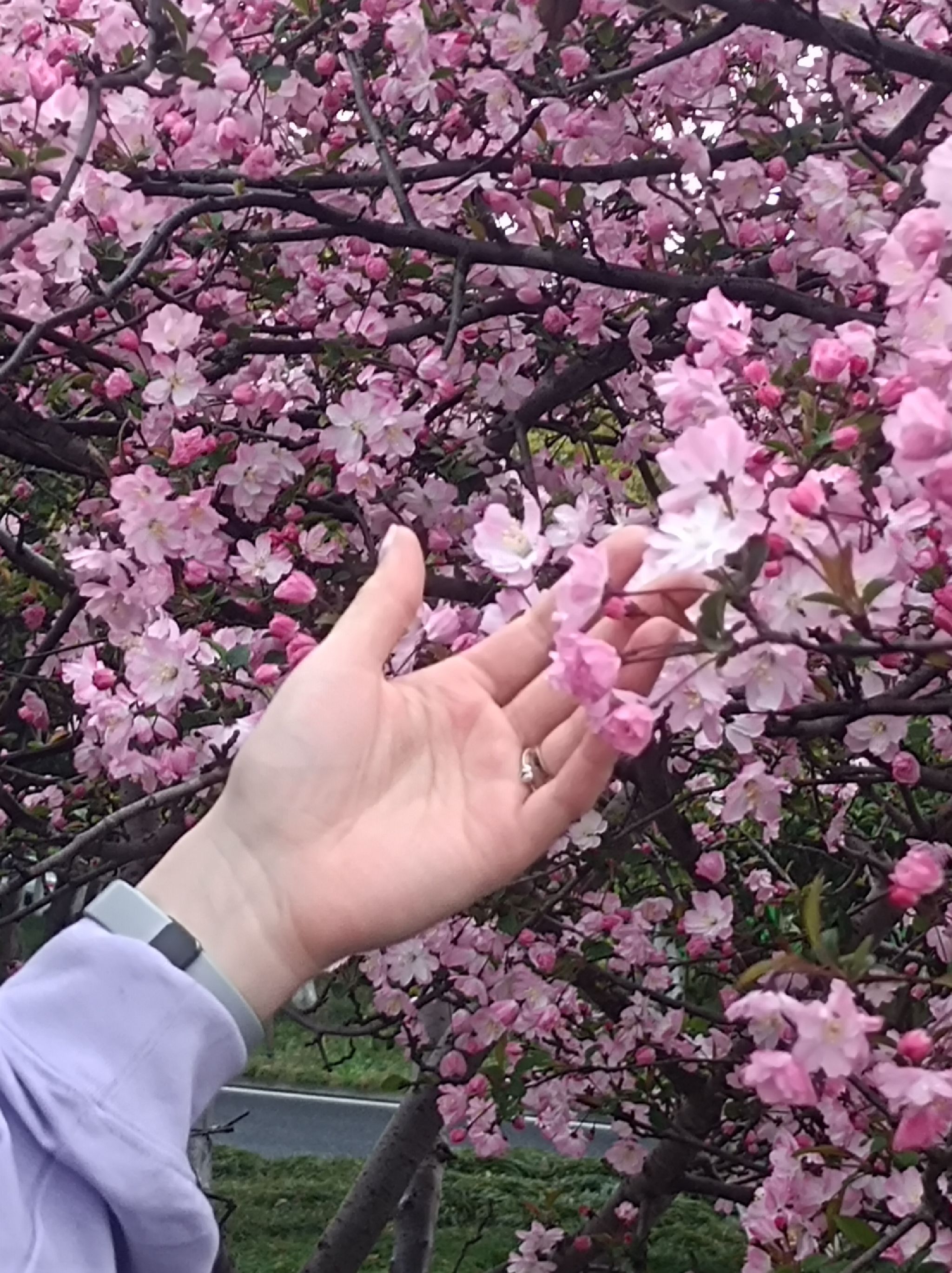 杭州沿江景观公园旅行图片