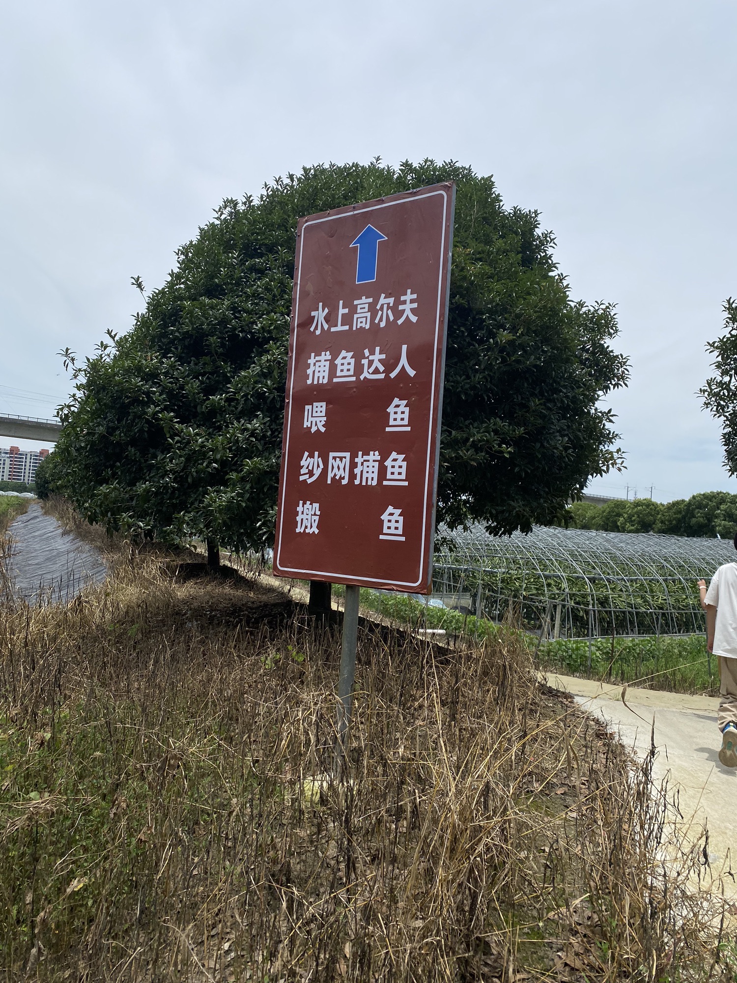 大眼睛景区