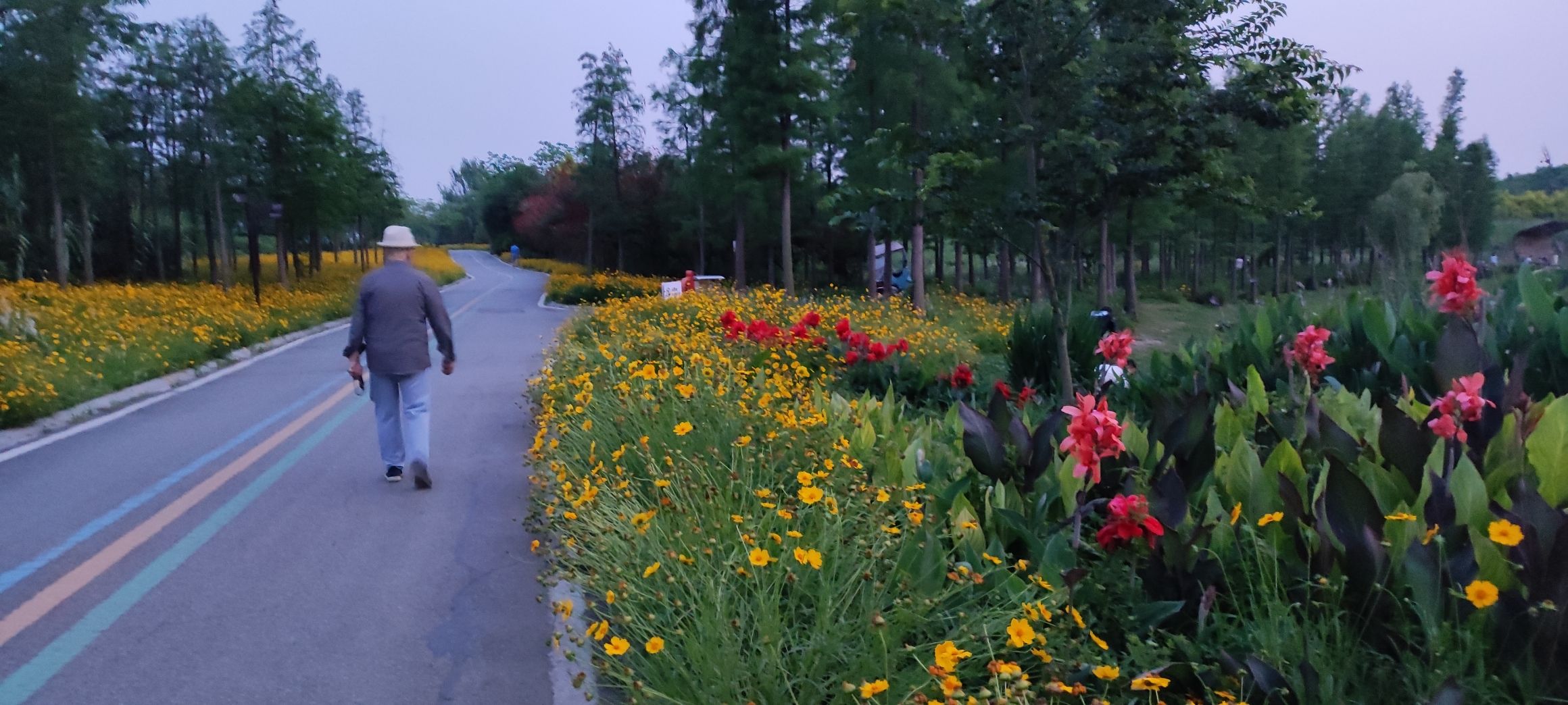 木兰健康主题公园旅行图片