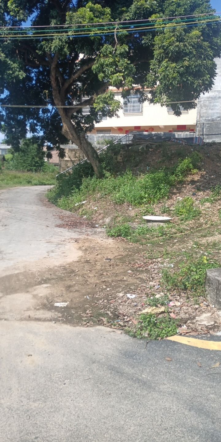 玉龟园