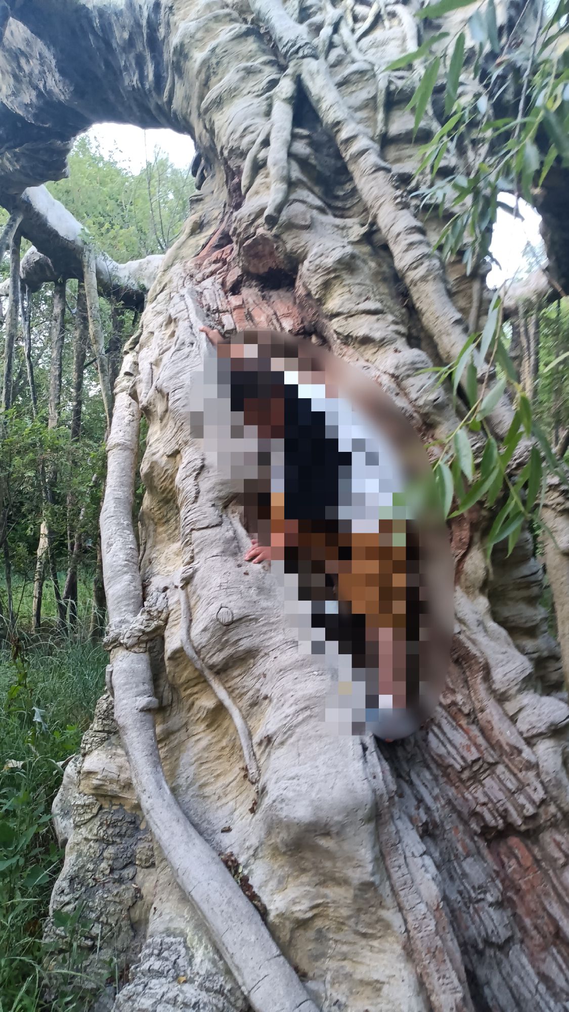 八面城文化休闲广场